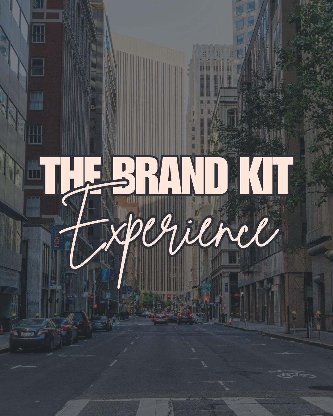 The Brand Kit Experience
