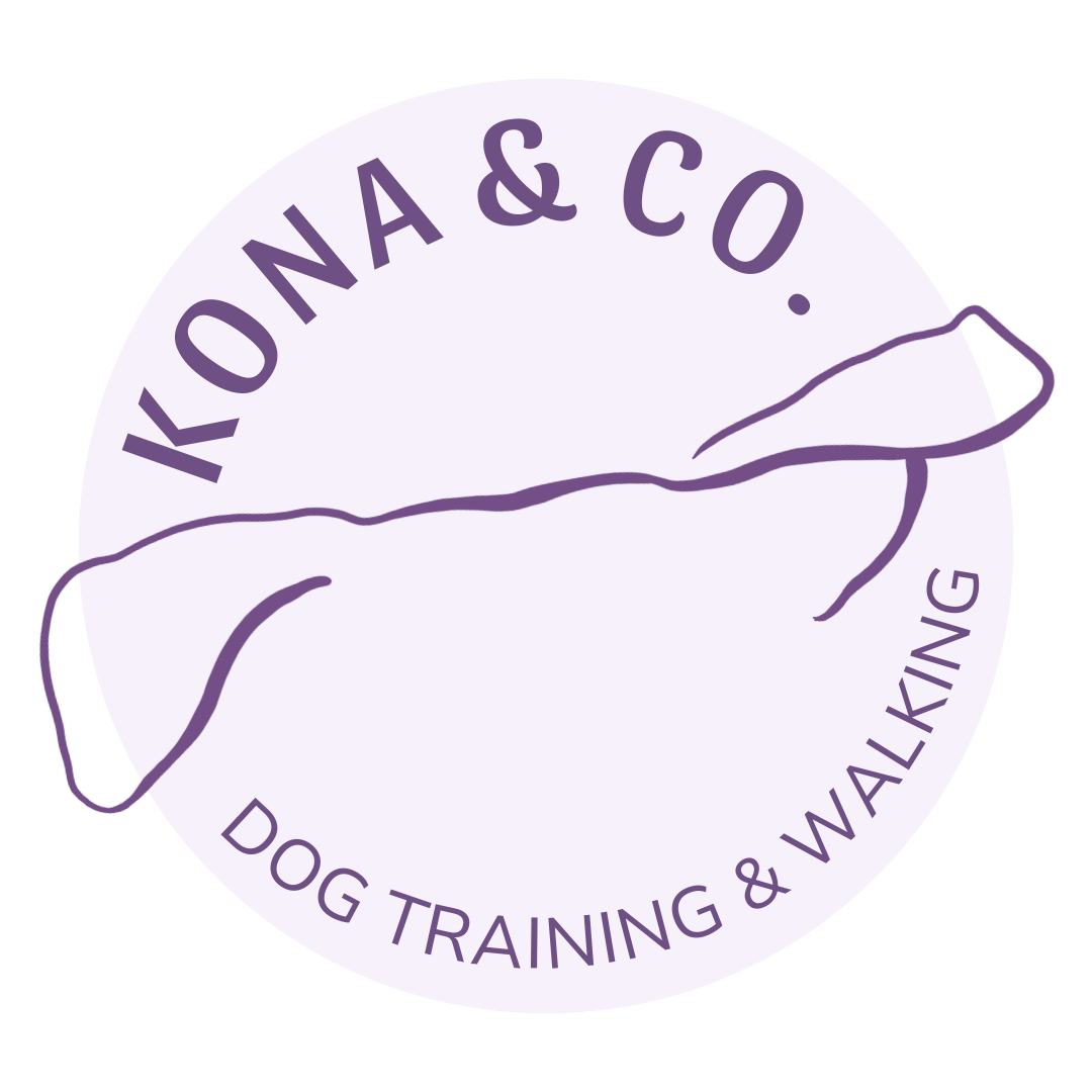 Kona &amp; Co. Dog Training and Walking
