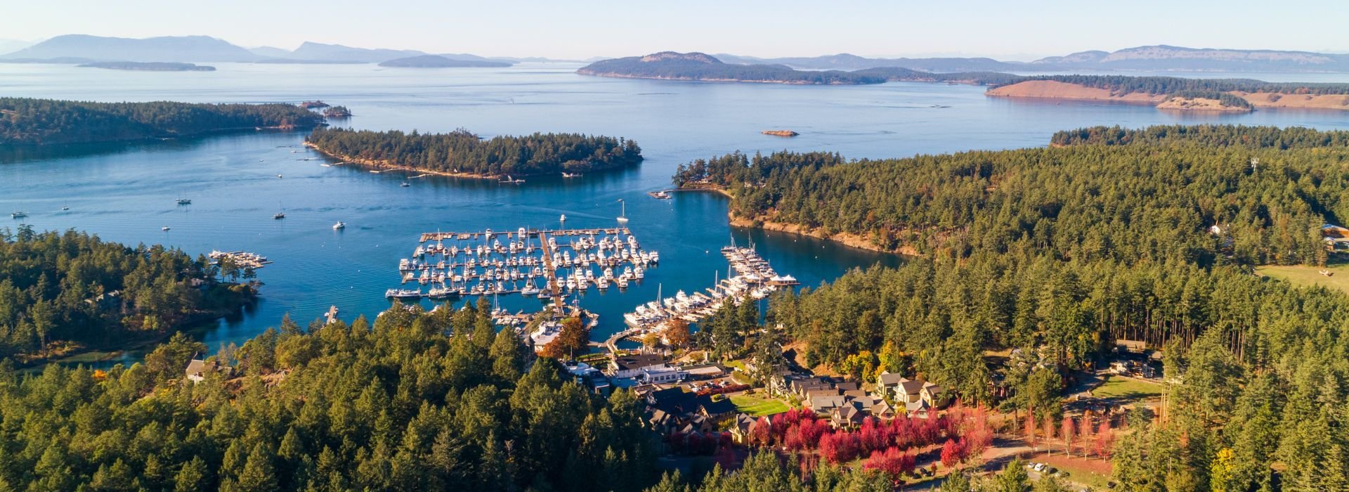 Roche Harbor from above