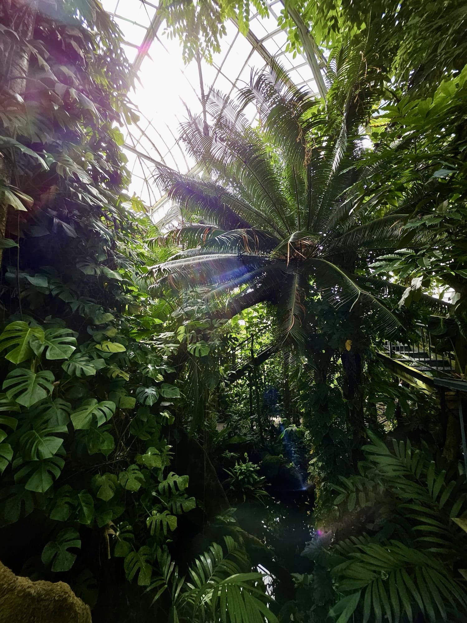 New York Botanical Gardens