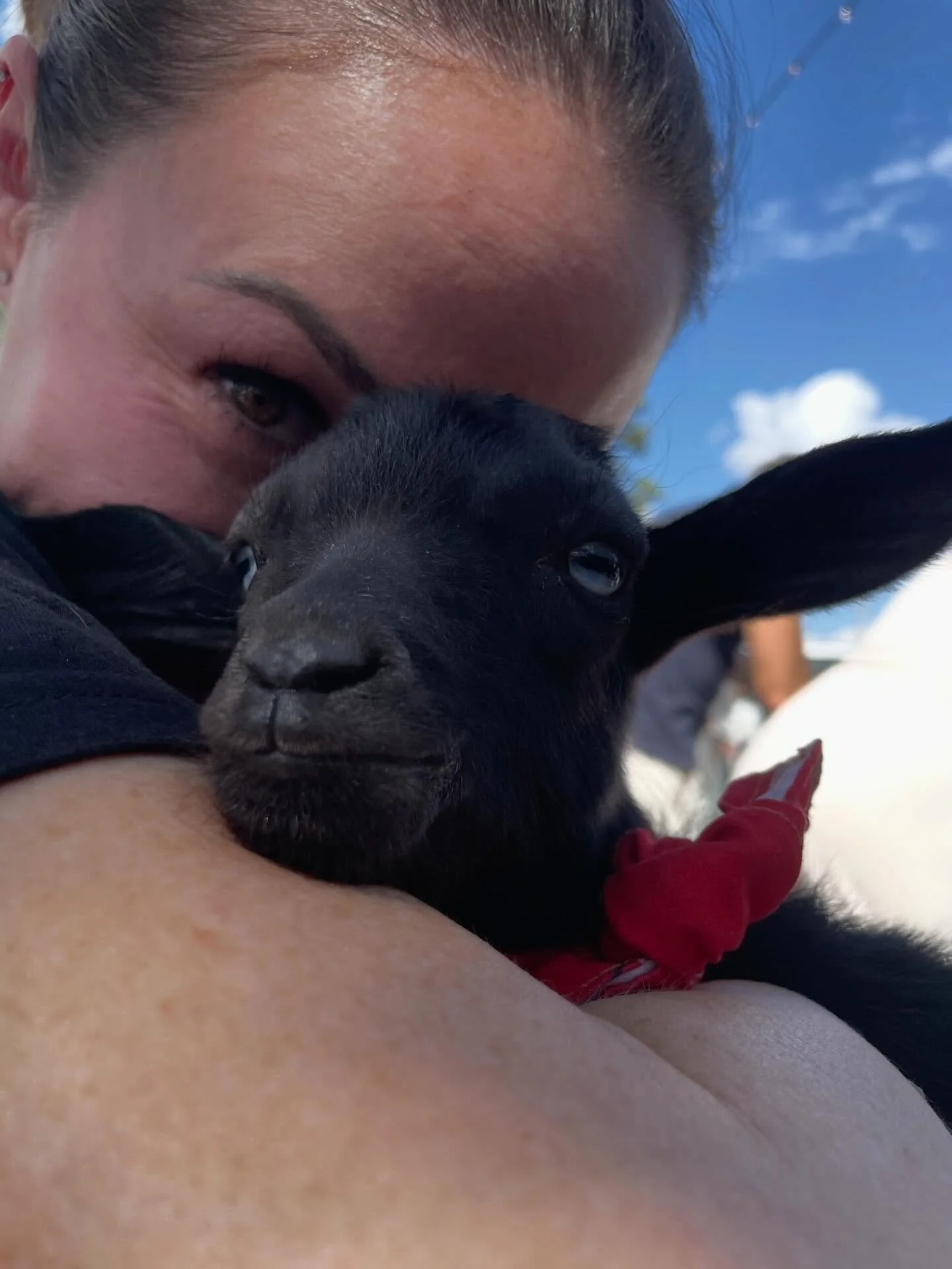 Who wants to get a picture and cuddle with a baby goat? Tomorrow @the.goatcha will have a booth in the mall on @txst campus for market days. We will have two baby goats there with us for cuddles from 11-2pm  from the amazing @goatshenanigans . Big th