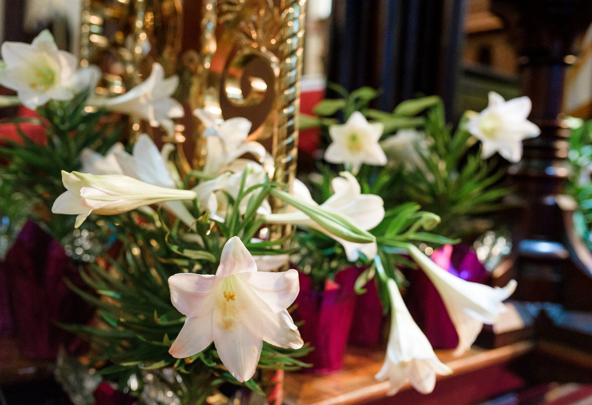 20250420-Easter Sunday-1-lilies.jpg