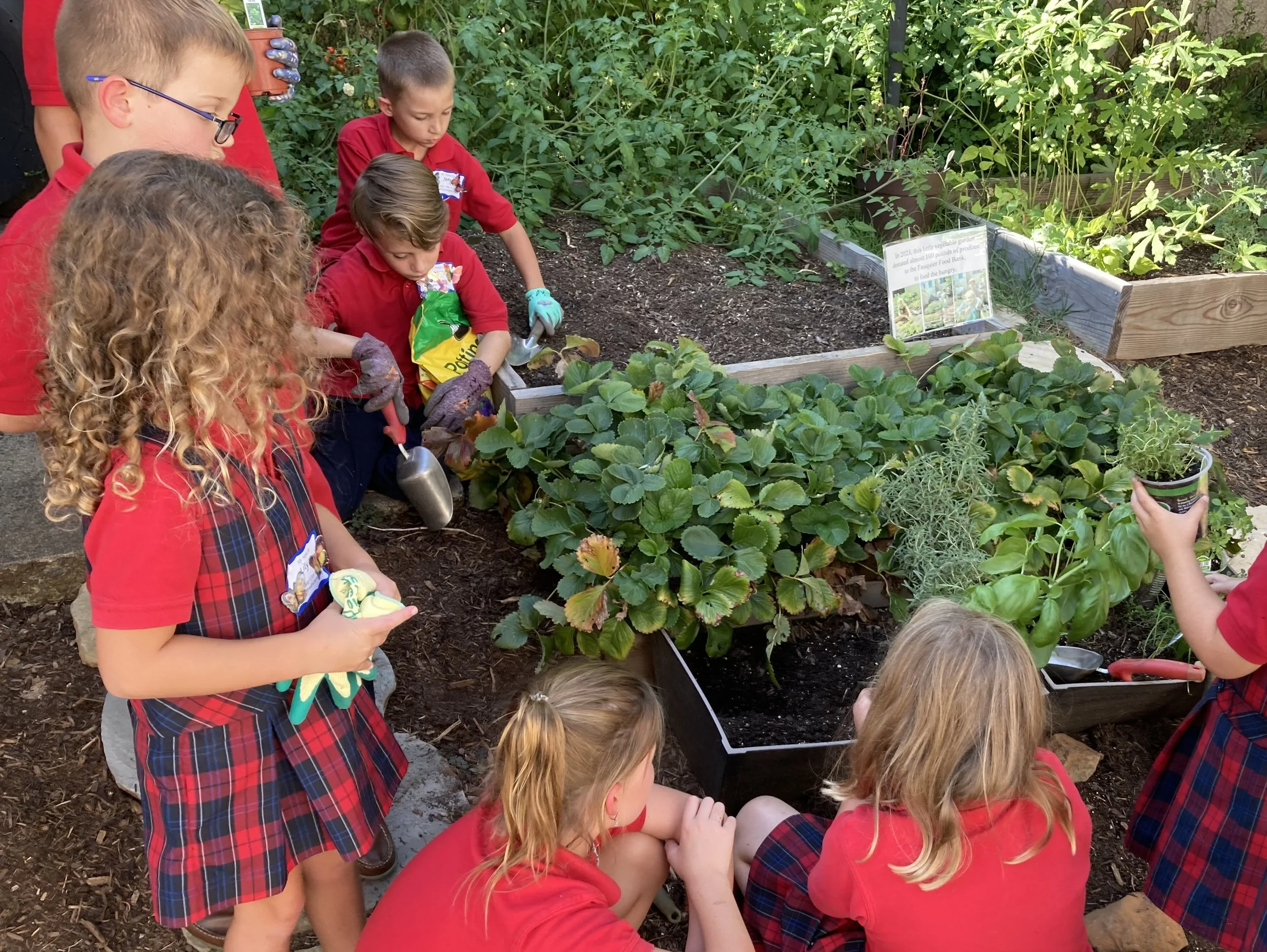 SJES Garden Work Day