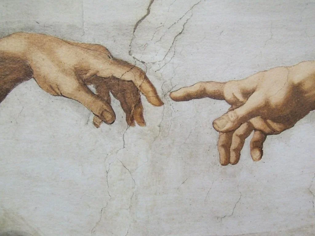 Adult formation in July: Discussing ‘Magnificent Humanity’