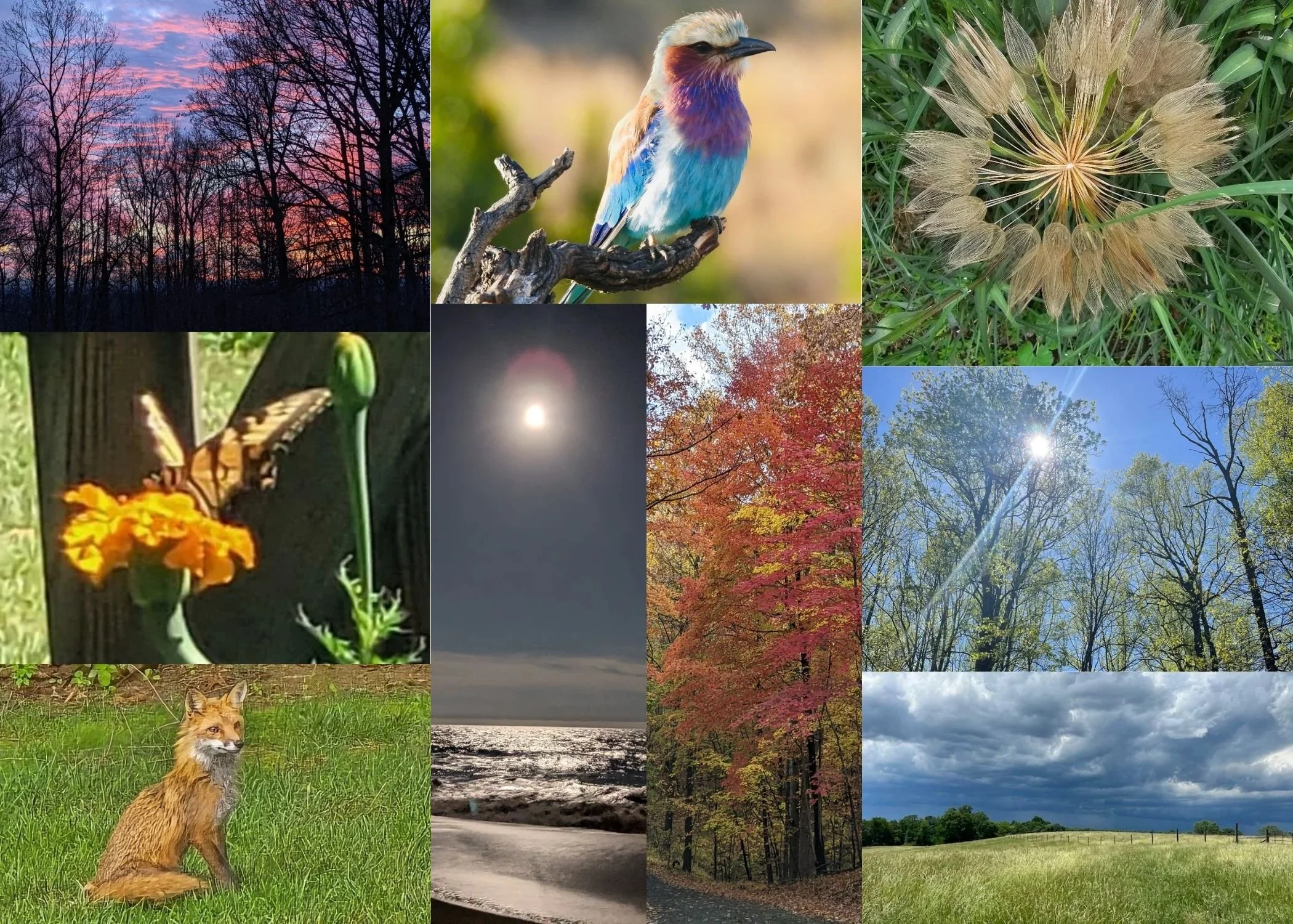 The 2026 Celebrate Creation Photo contest is now open