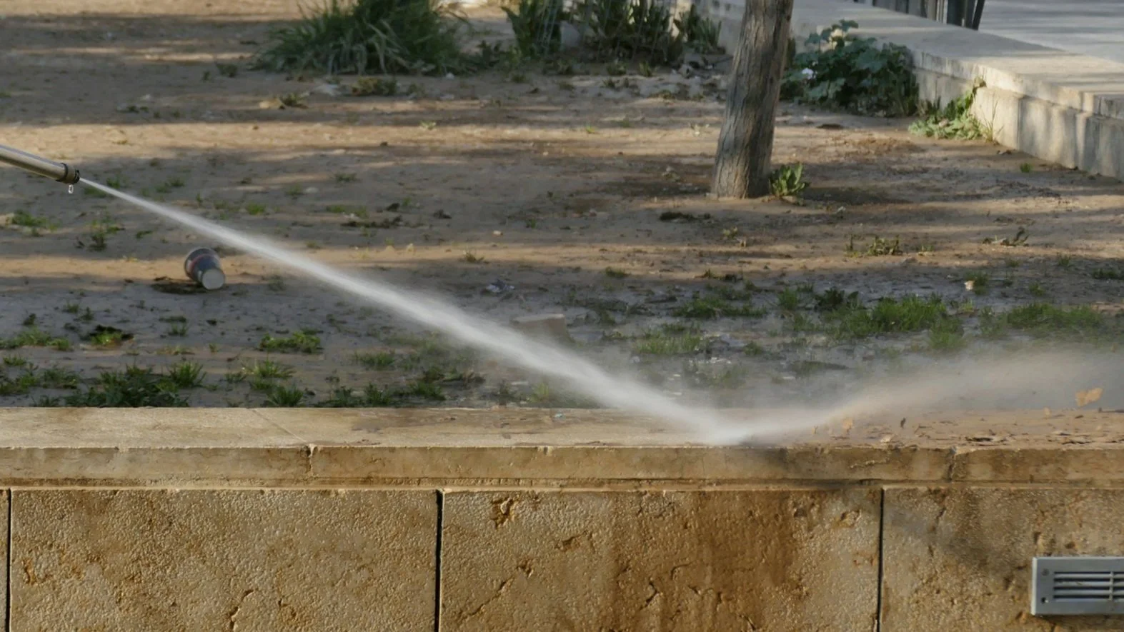 A water hose spraying a stream of water onto a sidewalk with plants and a tree in the background.