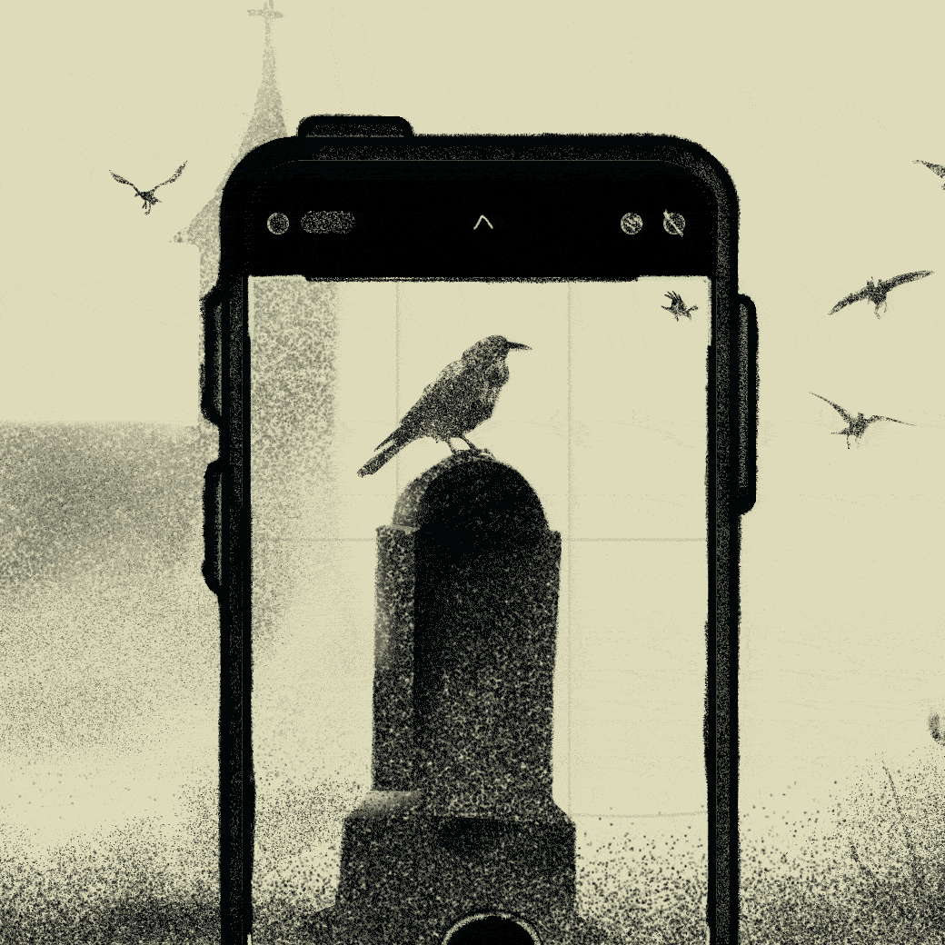 My Weekends With the Dead
