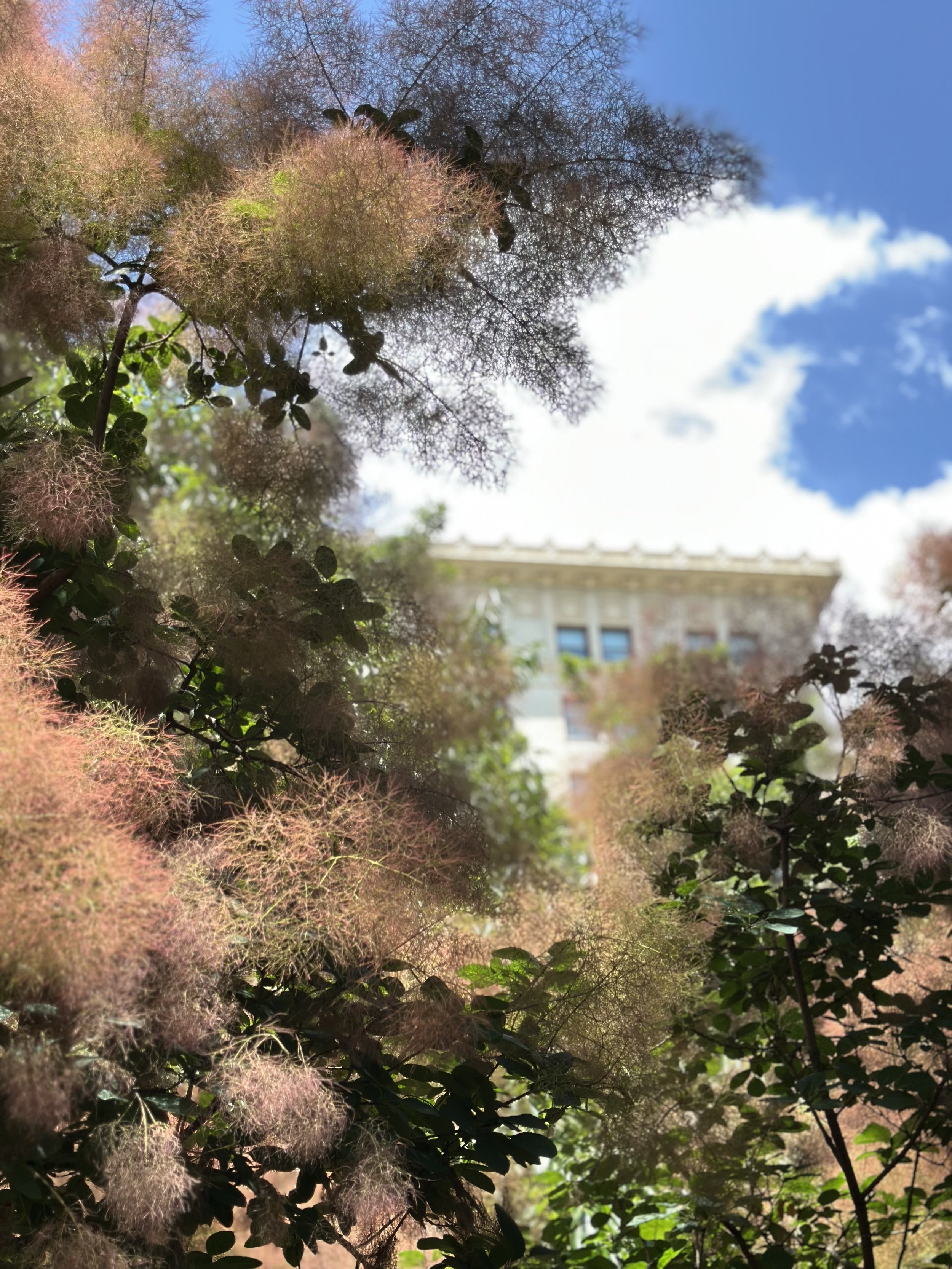 OKC, Myriad Gardens, Harmony