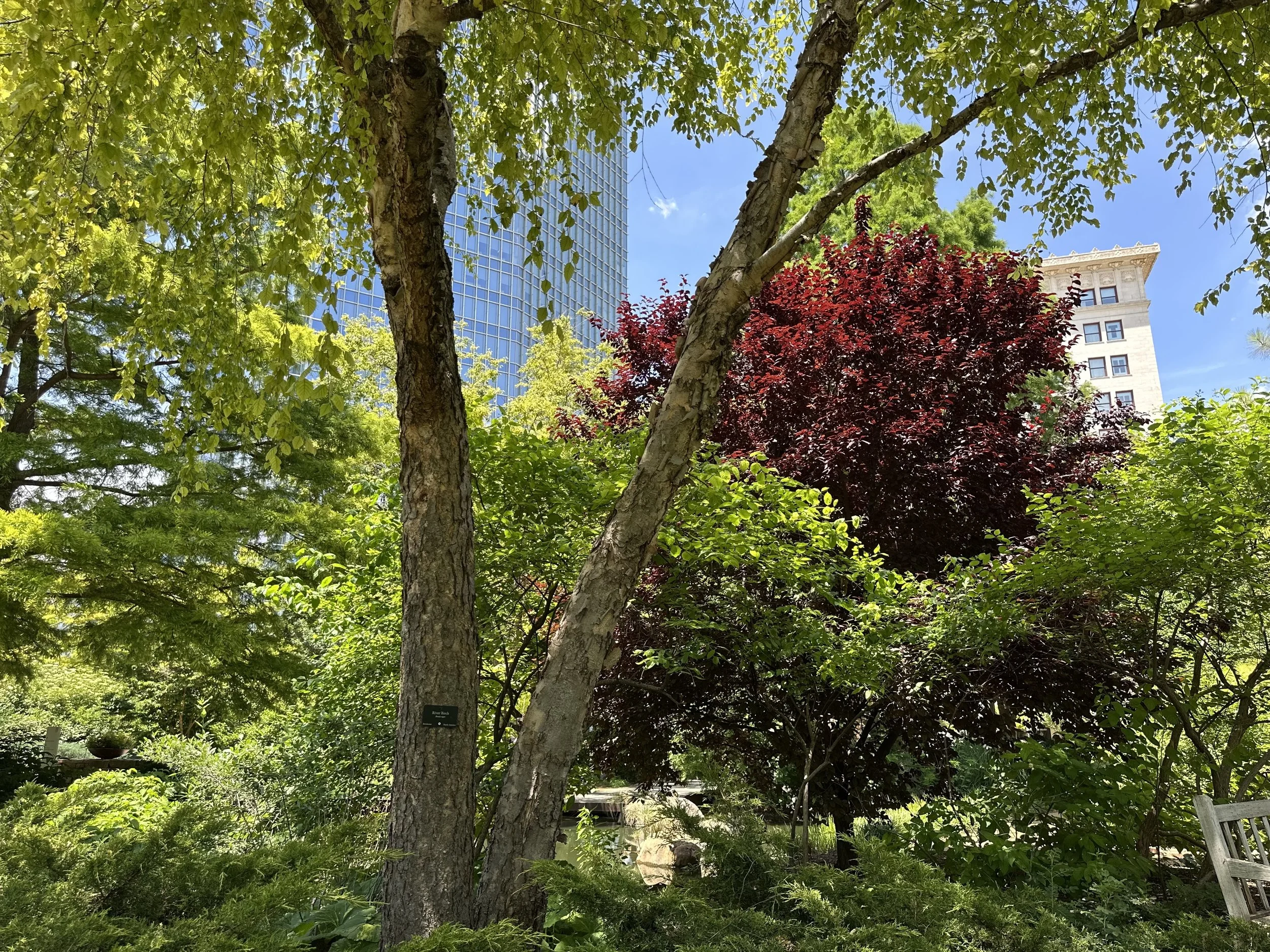 OKC, Myriad Gardens, Protected Heart