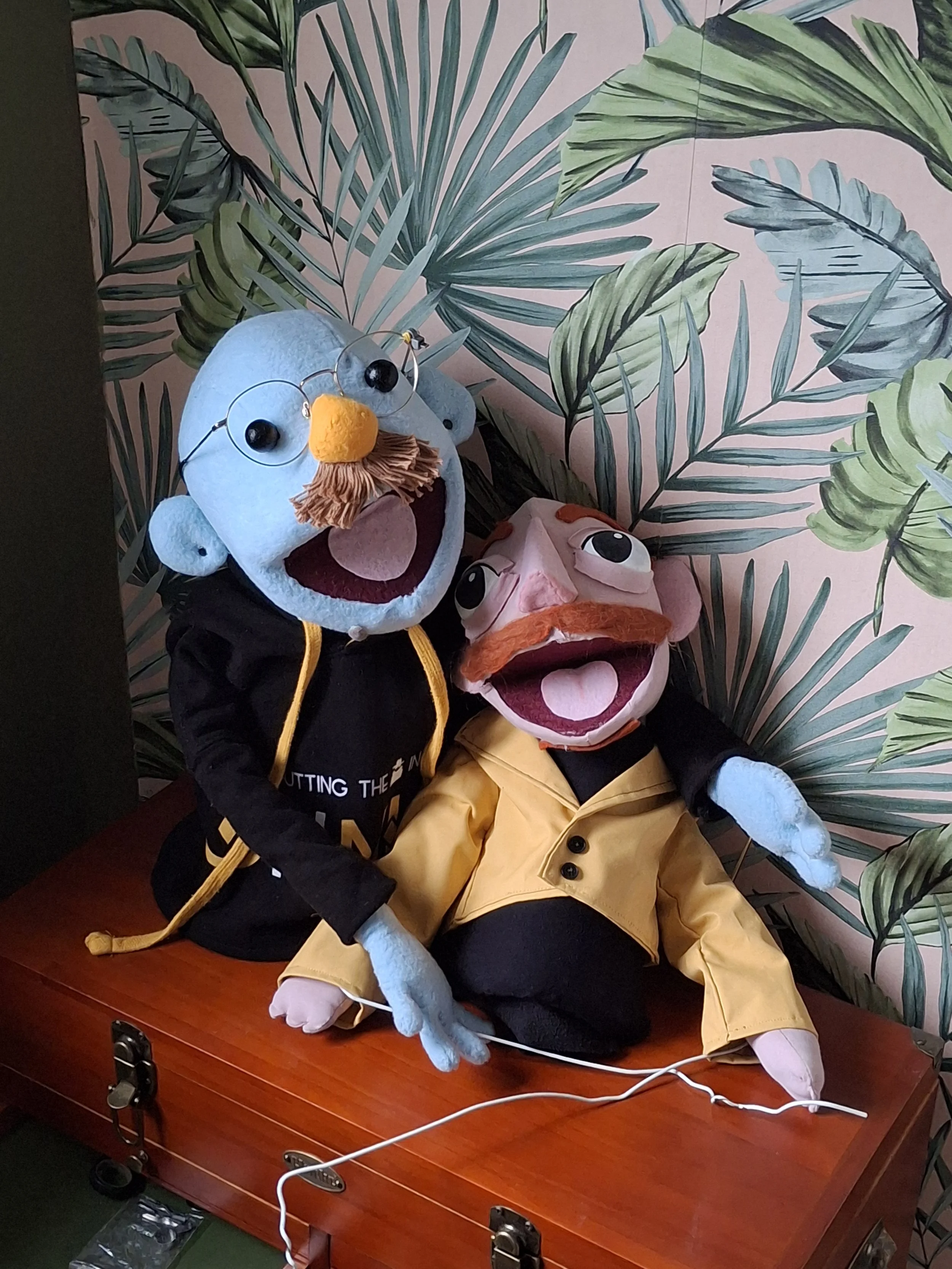 Rory Puppet - Created for 'Sleep for Dinner' Music Video by Strange New Places