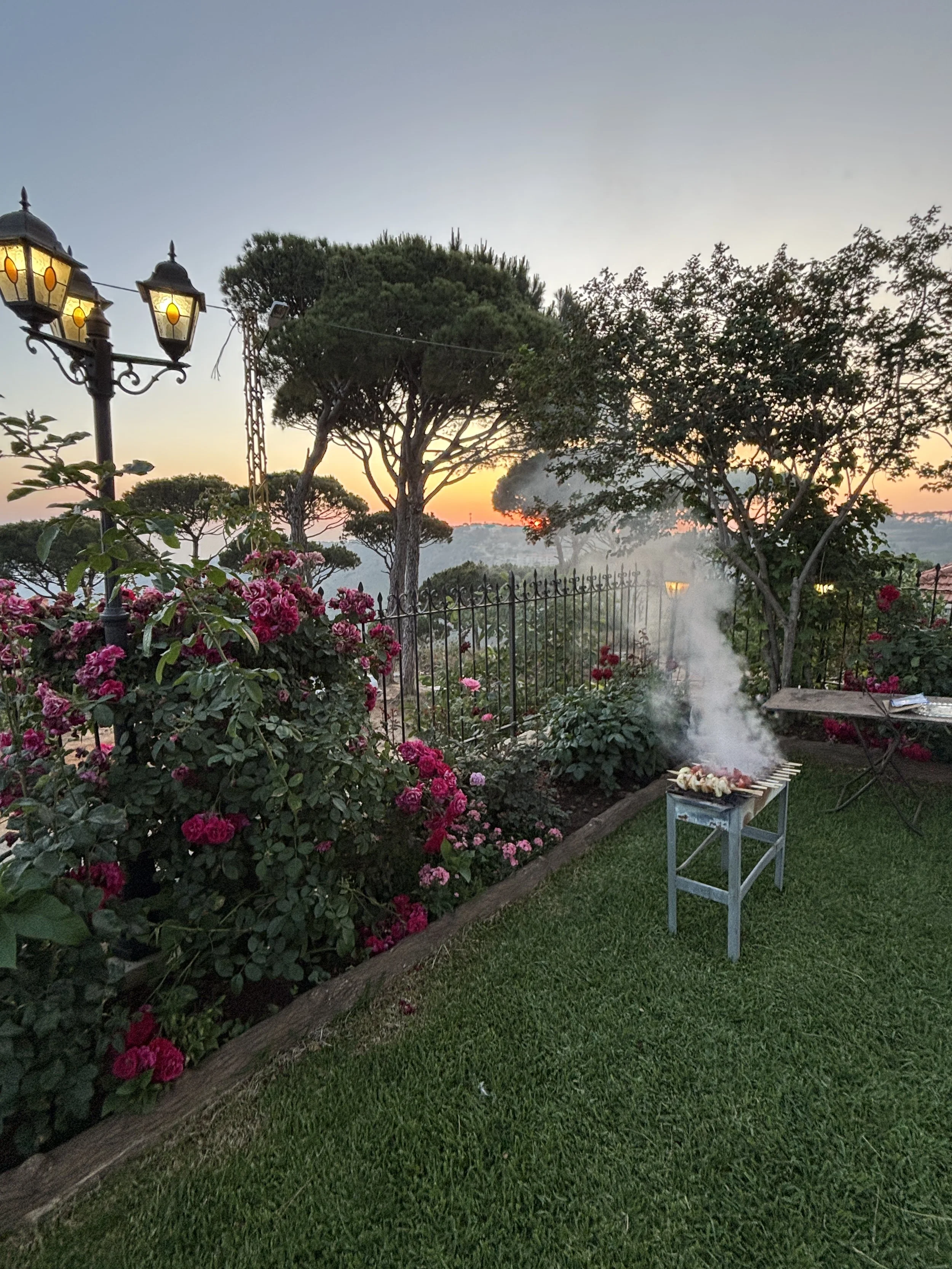 Kebabs on the Outdoor Grill