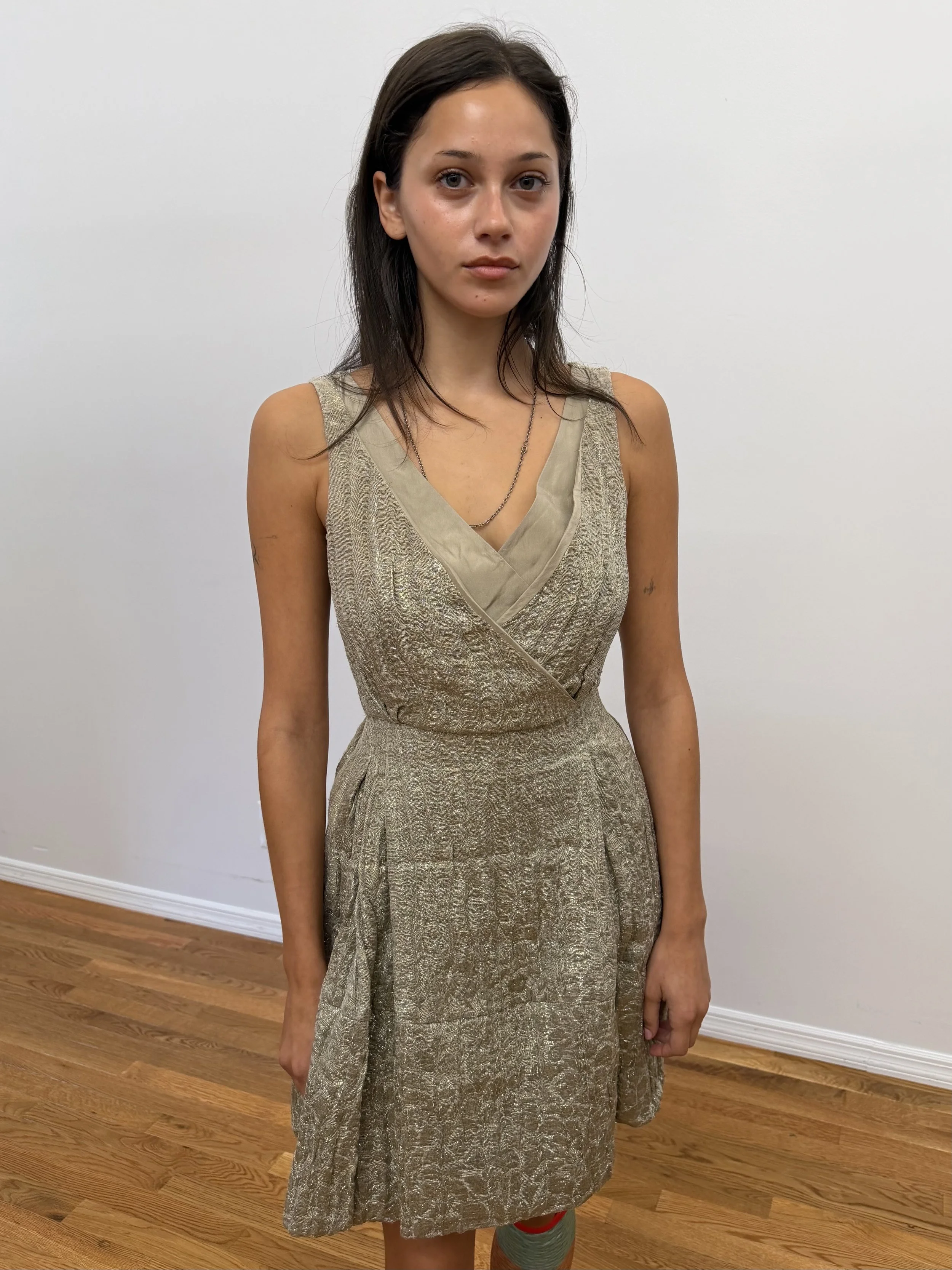Shimmery Dress