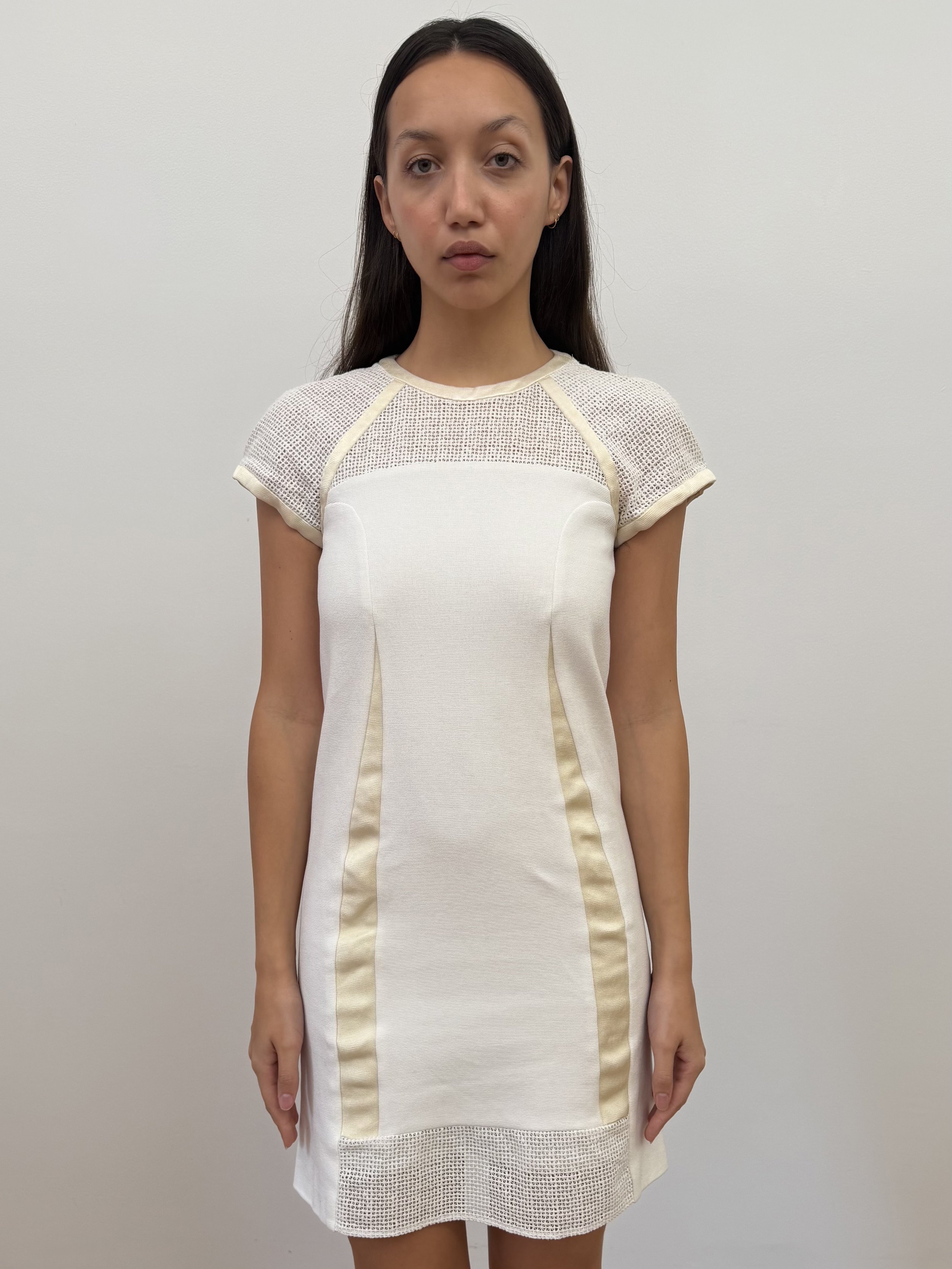 White Mesh Dress