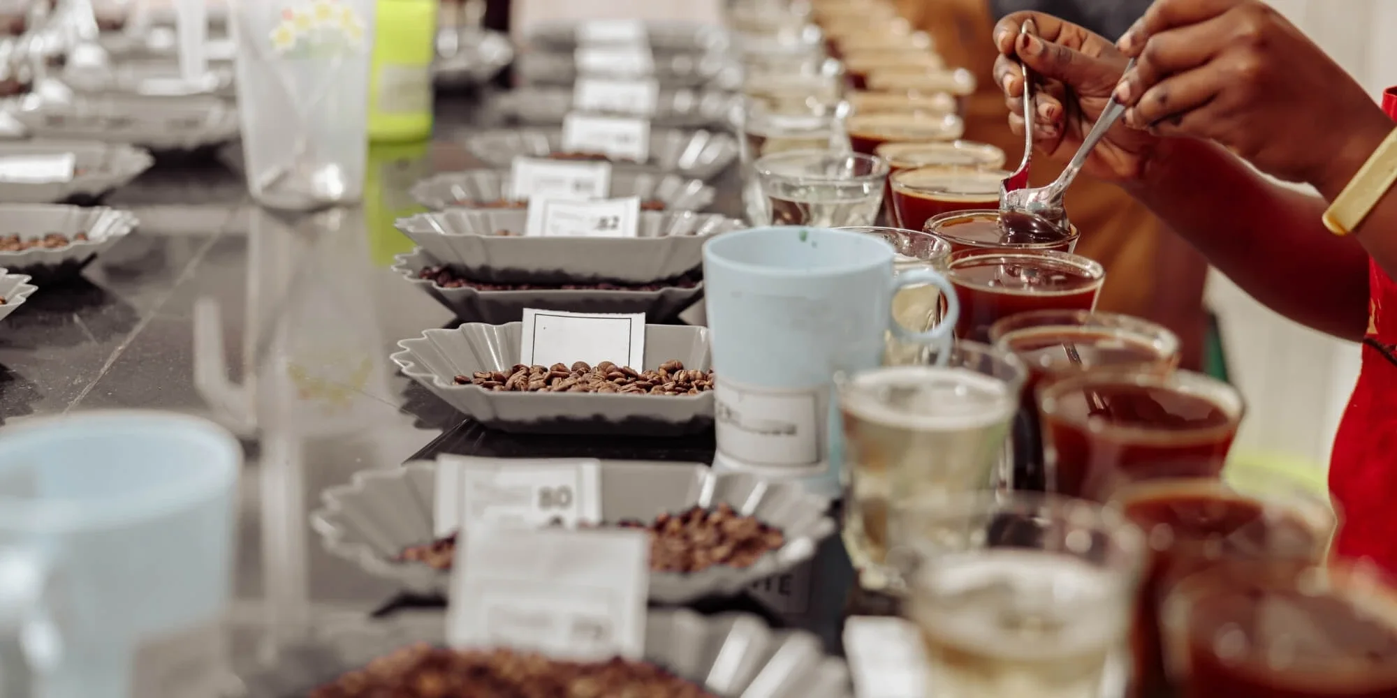 Coffee Cupping: A Simple Guide for Beginners