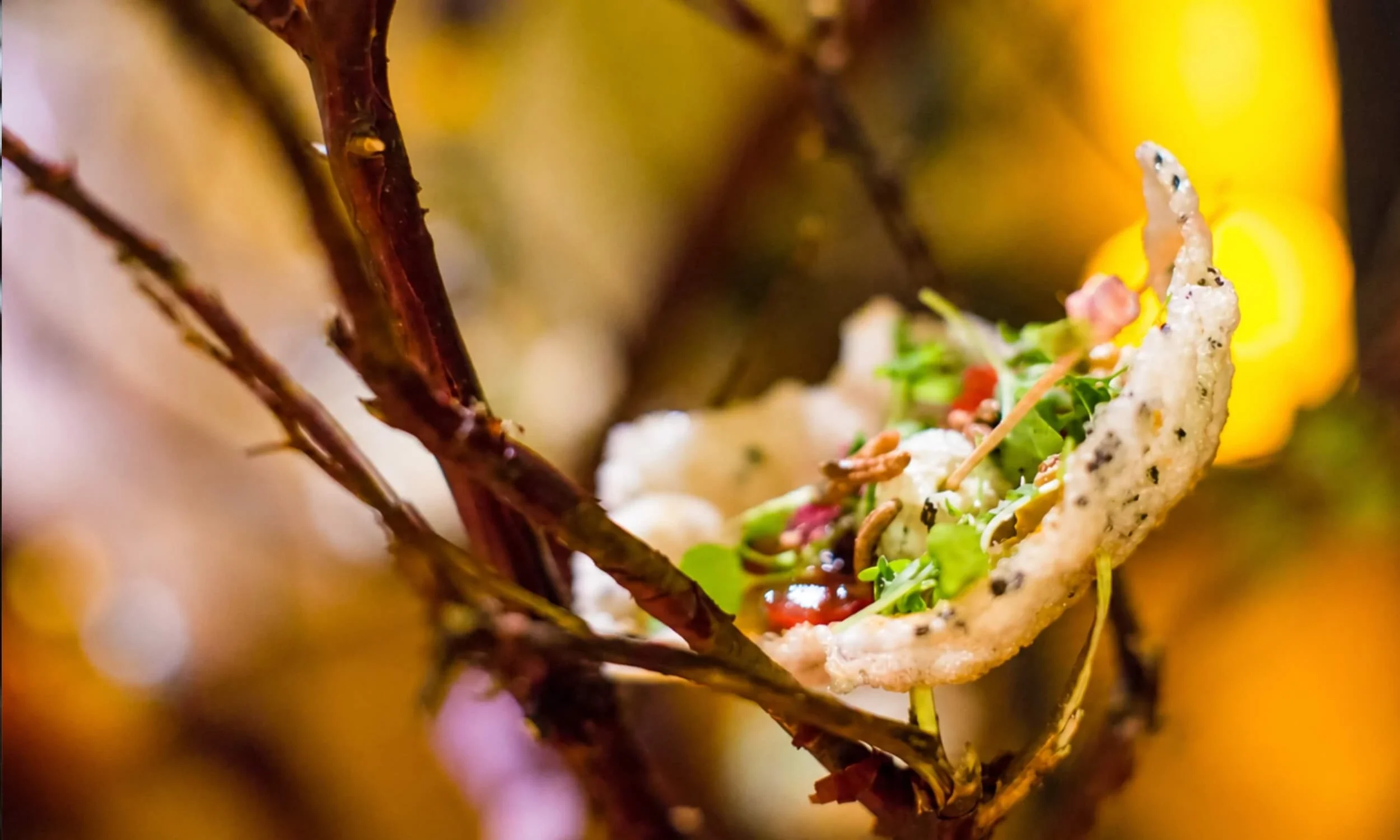 catering for corporate galas