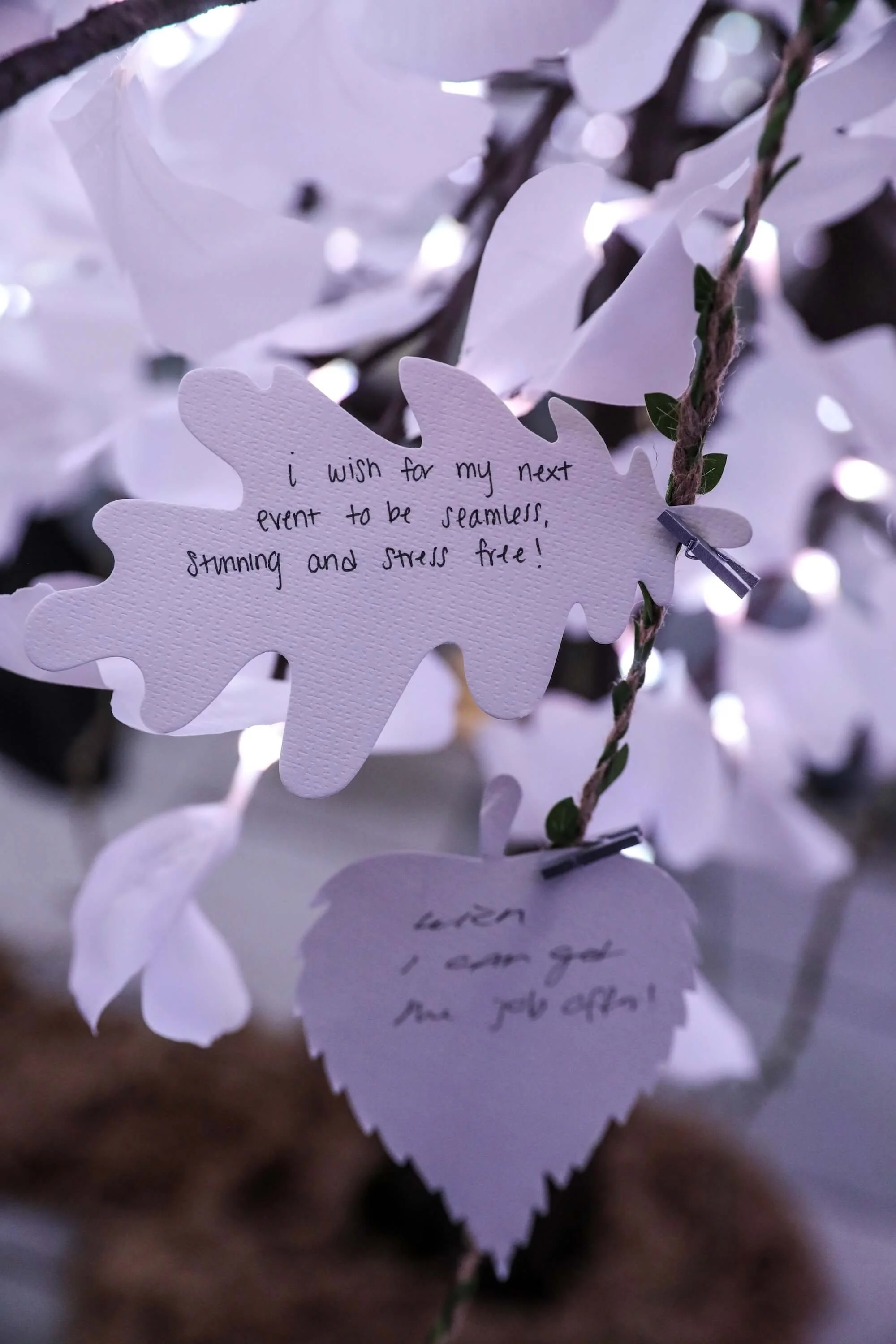 Metro-City-Showcase-Misti-Layne_021 (1).jpg