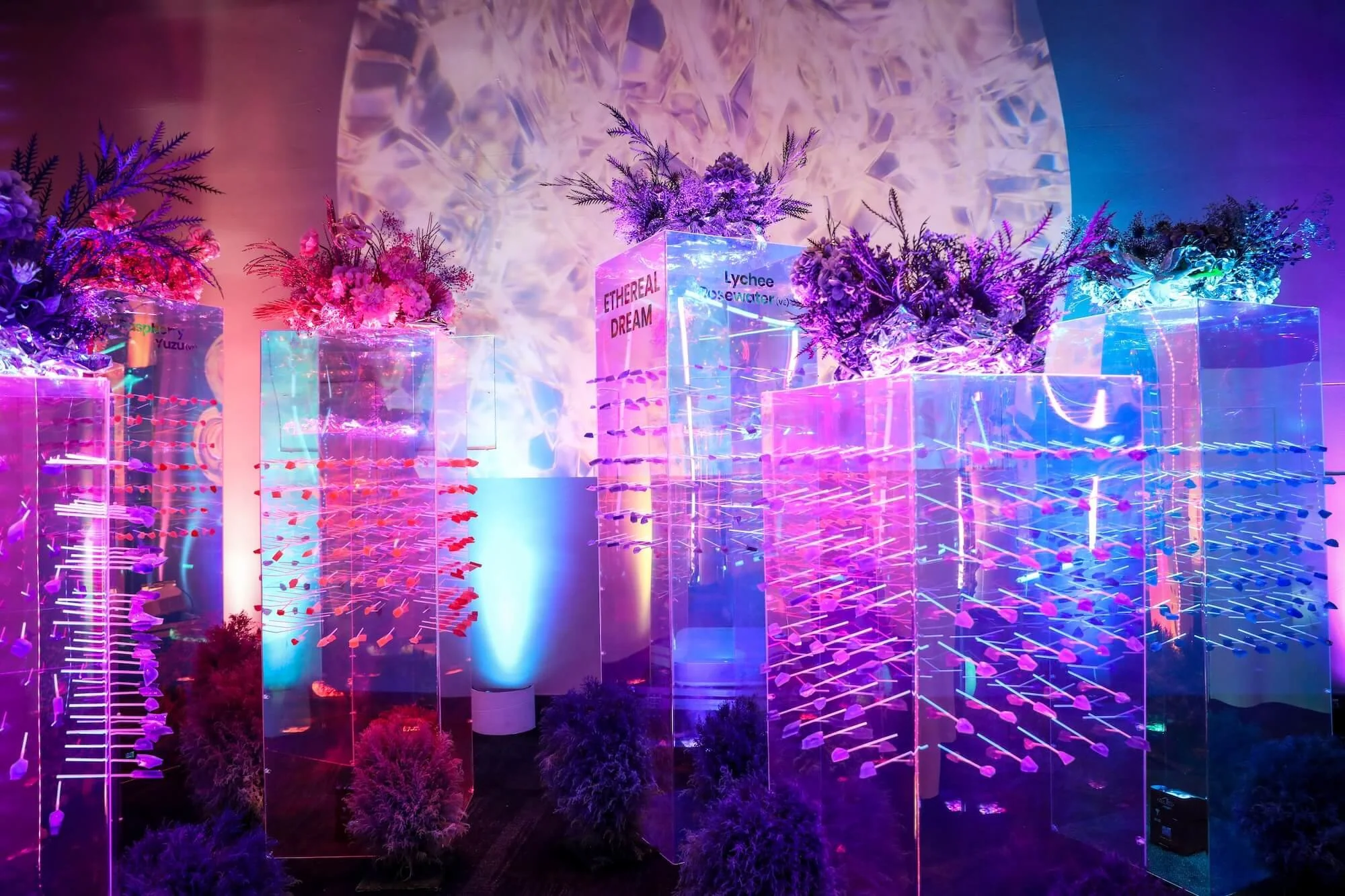 Metro-City-Showcase-Misti-Layne_164 (1).jpg