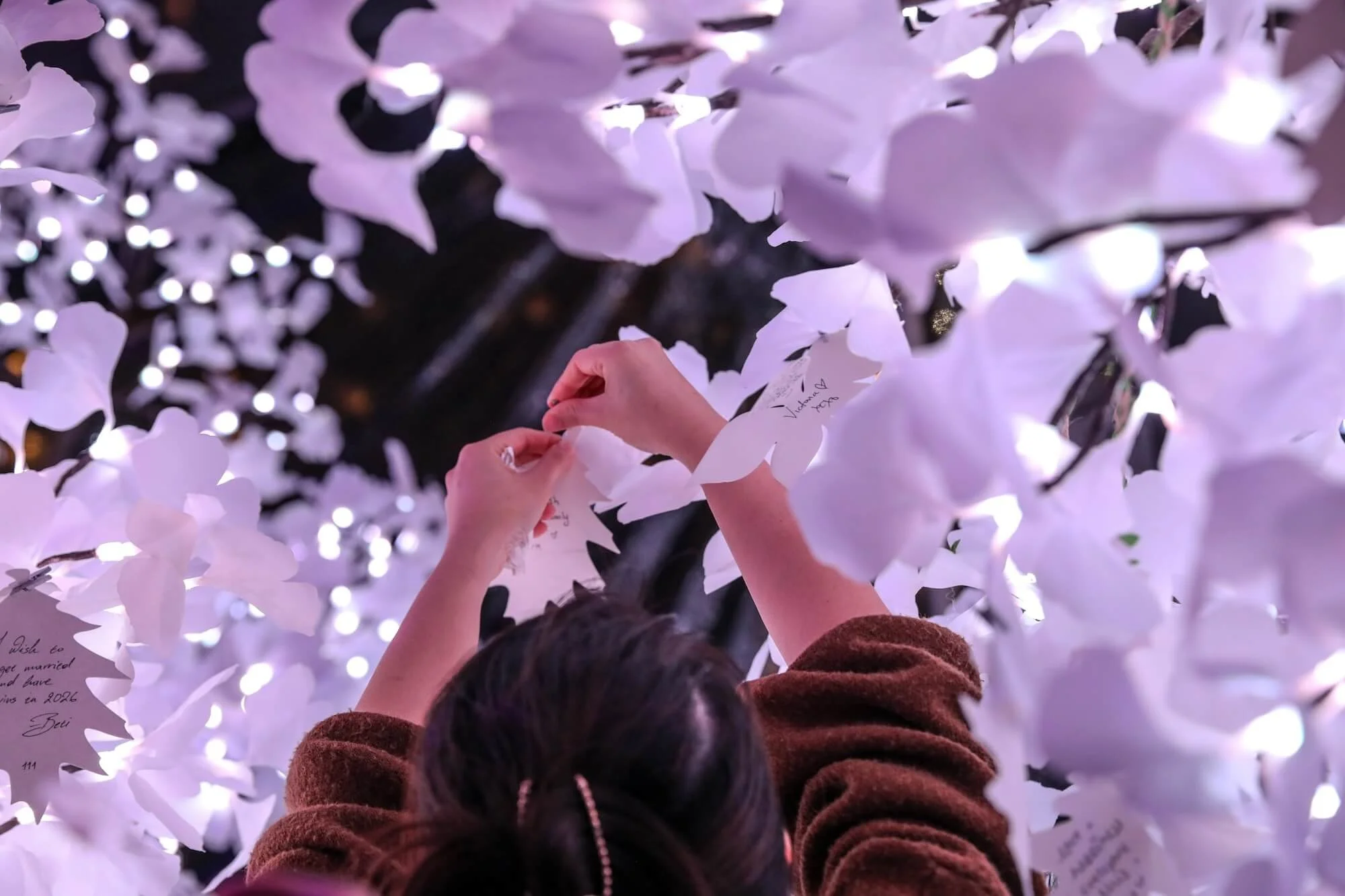 Metro-City-Showcase-Misti-Layne_475 (1).jpg