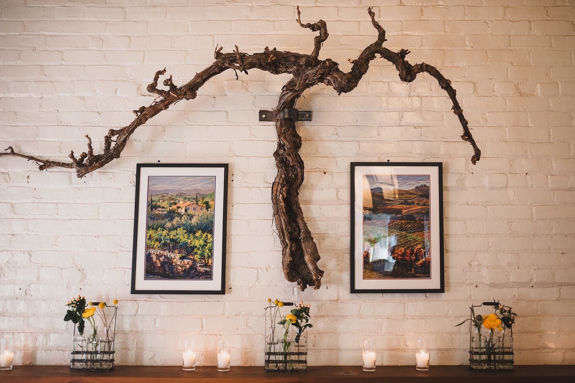 329_CatherineMax (1).jpg