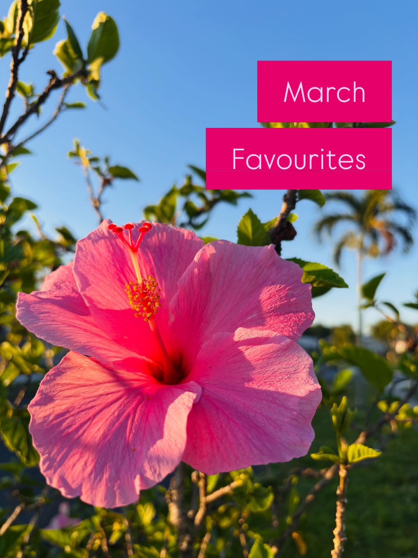 Here are a few highlights from March! 

- Sunrise at the beach &mdash; a family tradition, and this one was especially breathtaking 
- @hamontmarket &mdash; so many amazing vendors! Our favourite: the buttered toast &amp; jam cookie from @pleasantco.