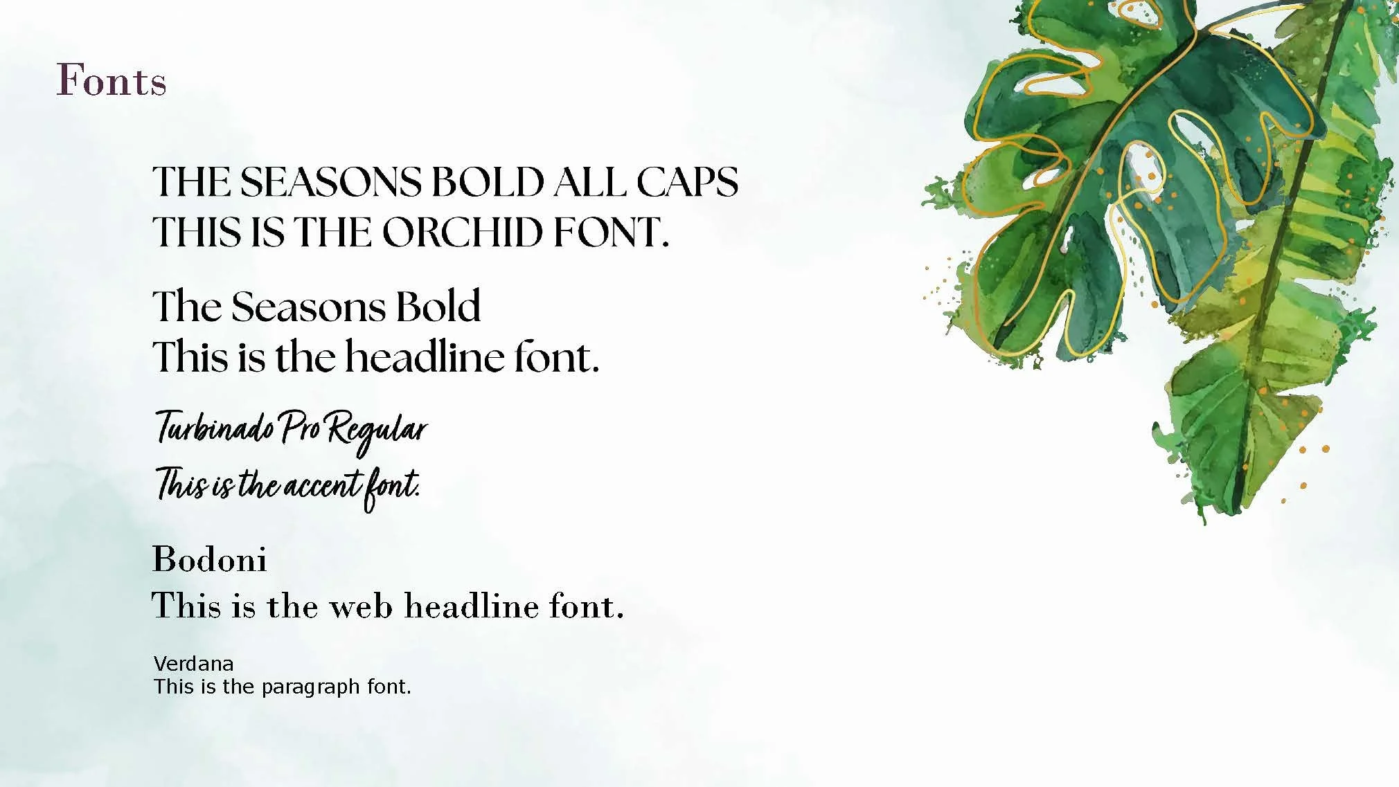 FINAL BRAND GUIDELINES Orchid Holistic Search -SM_Page_04.jpg