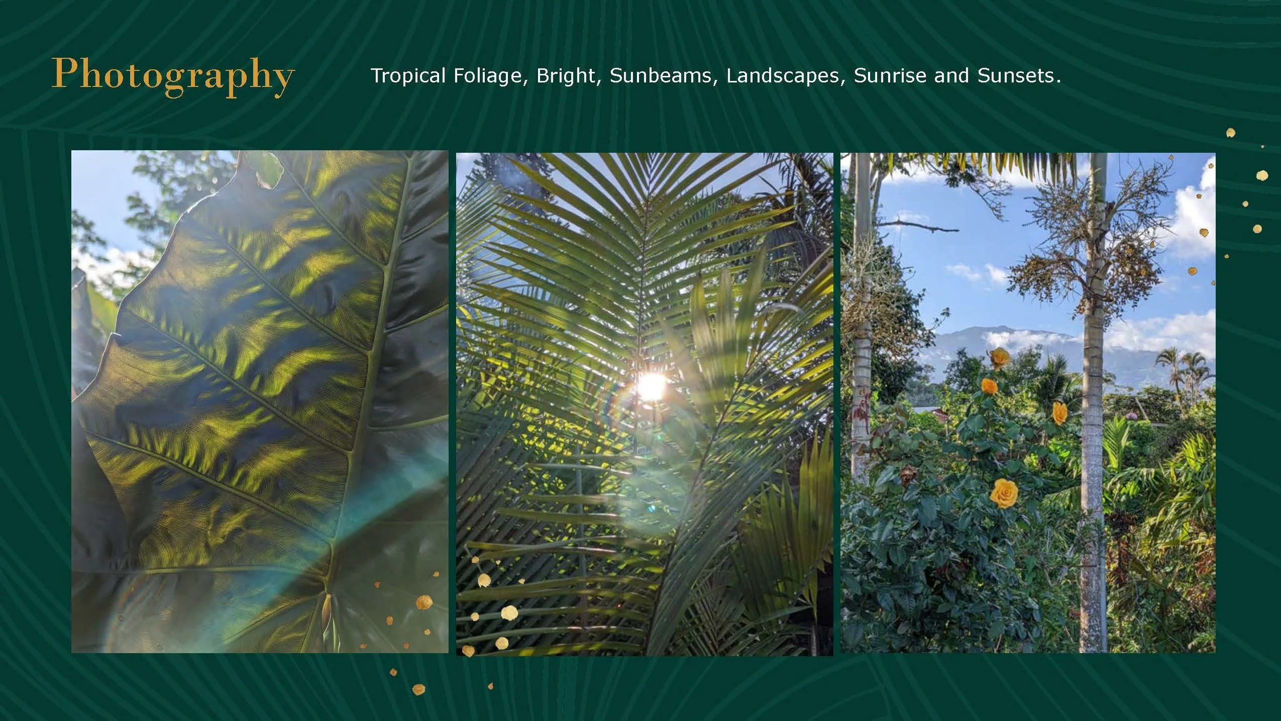 FINAL BRAND GUIDELINES Orchid Holistic Search -SM_Page_09.jpg