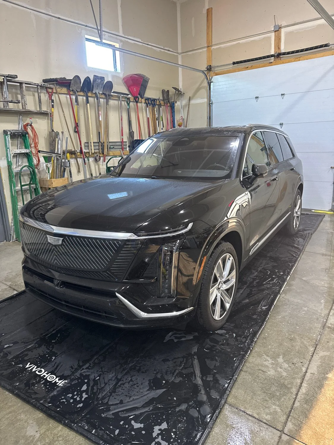 Feynlab Self-Healing Ceramic Coating: What It Actually Does to Your Paint