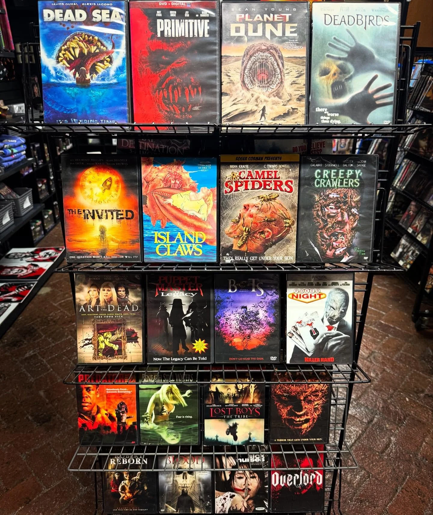 New Rentals available this week! Did you know we offer free rentals to our museum members, and we have more titles on hand than both Shudder and Screambox combined? Come on down, sign up, and start renting!