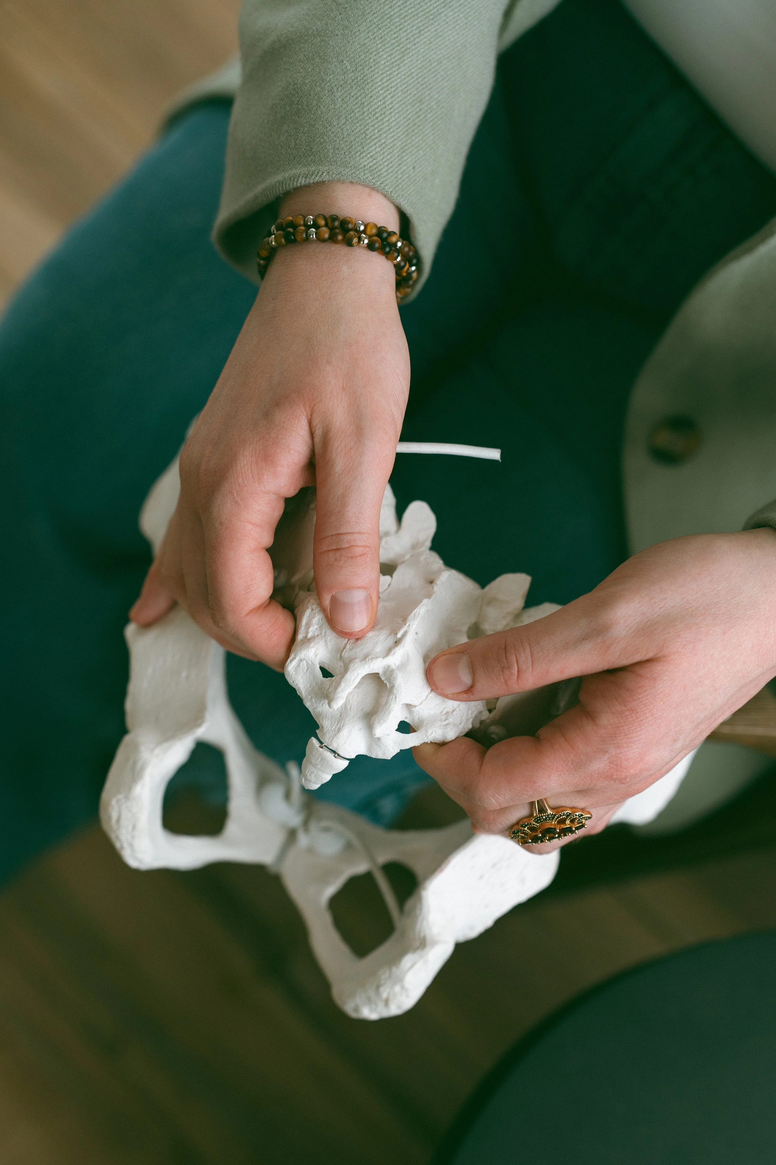 A person holding a small white skull model of a human skeleton, with hands showing rings and bracelets, seated on a green surface.