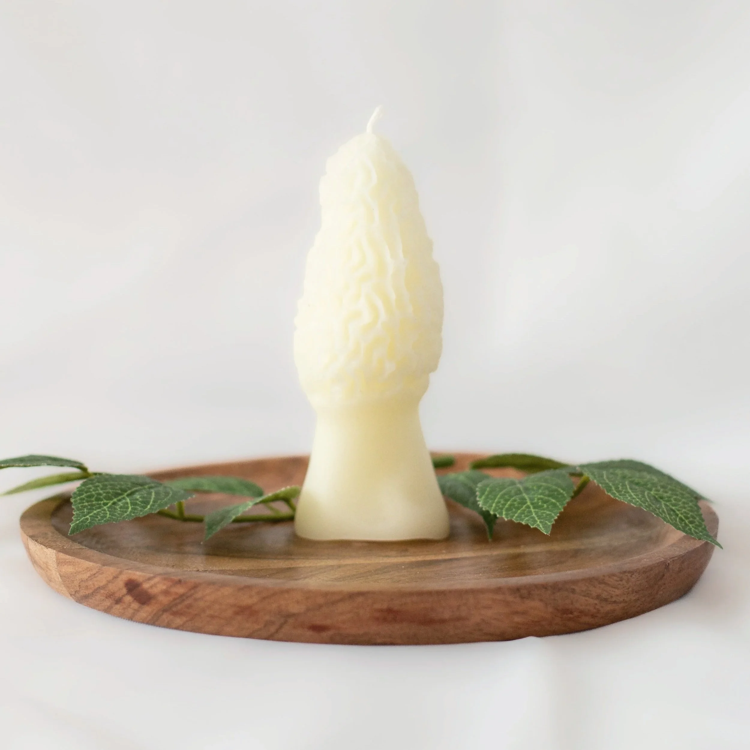 Morel Mushroom Candle