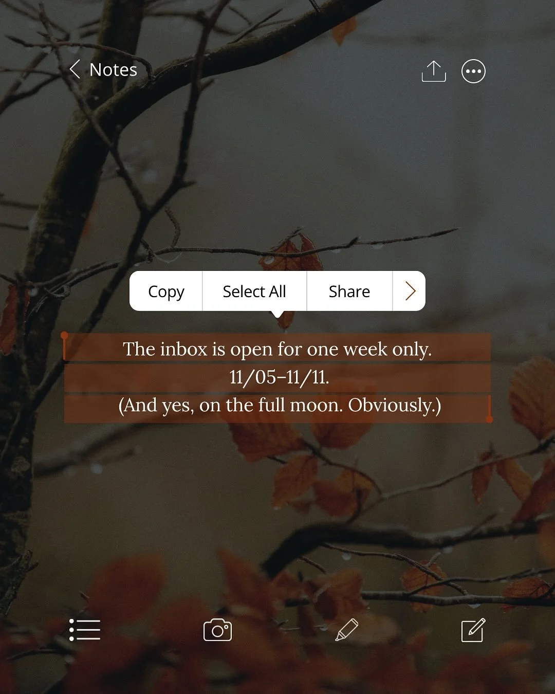 It&rsquo;s happening. The inbox is open and I want the unhinged stuff.
The thing you keep rewriting because it scares you.
The one that feels too much: too dark, too smart, too emotional.

That&rsquo;s the one I want.
Go get her out of your drafts an