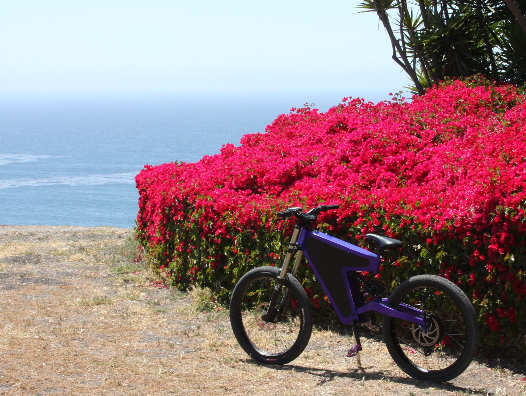 Phasor finished build