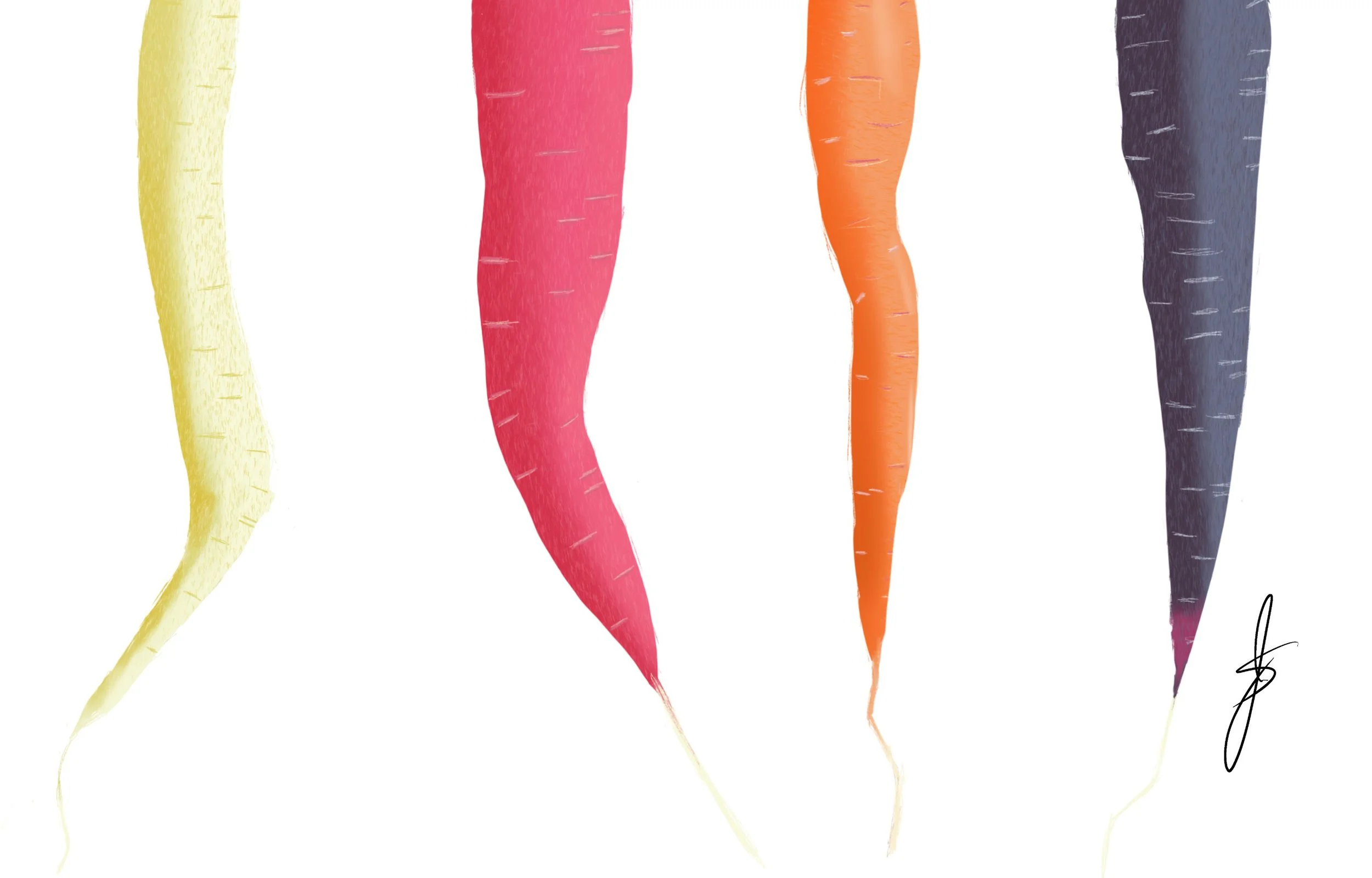 Zoomed in picture of the bottoms of the carrots to see texture.