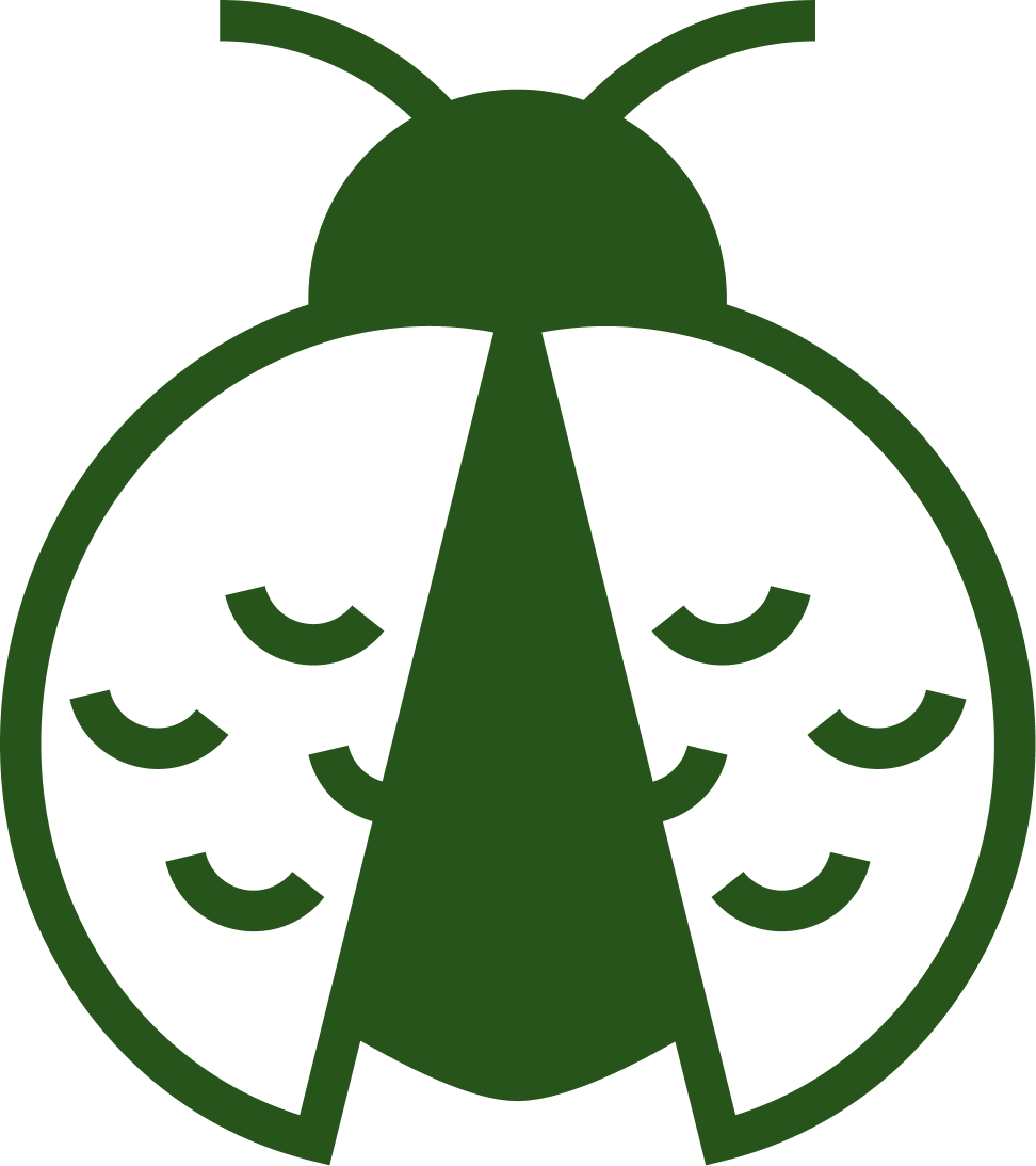 Minimalist green line drawing of a ladybug front view with detailed wings and antennae.