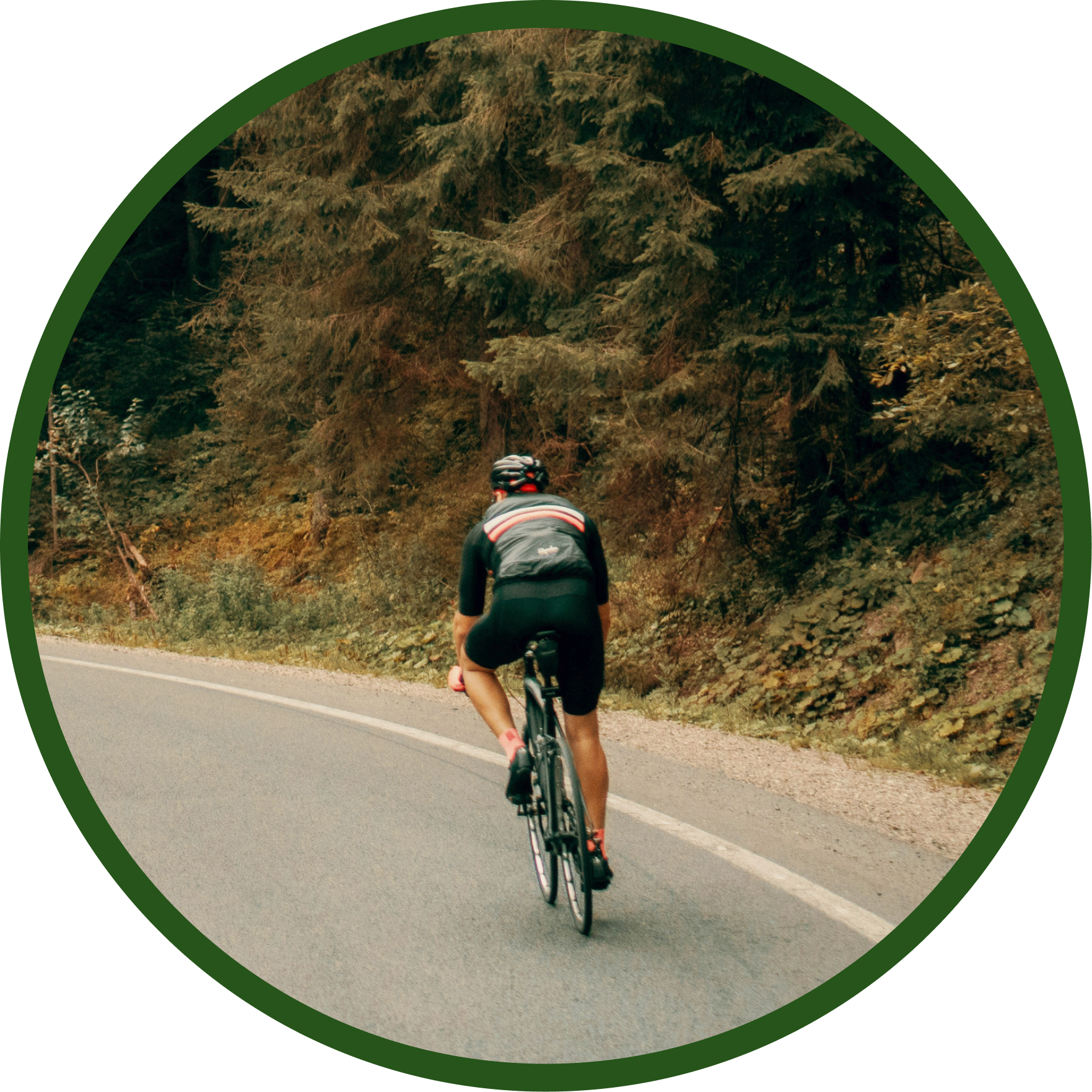 Cyclist riding on a curved mountain road surrounded by dense green forest.