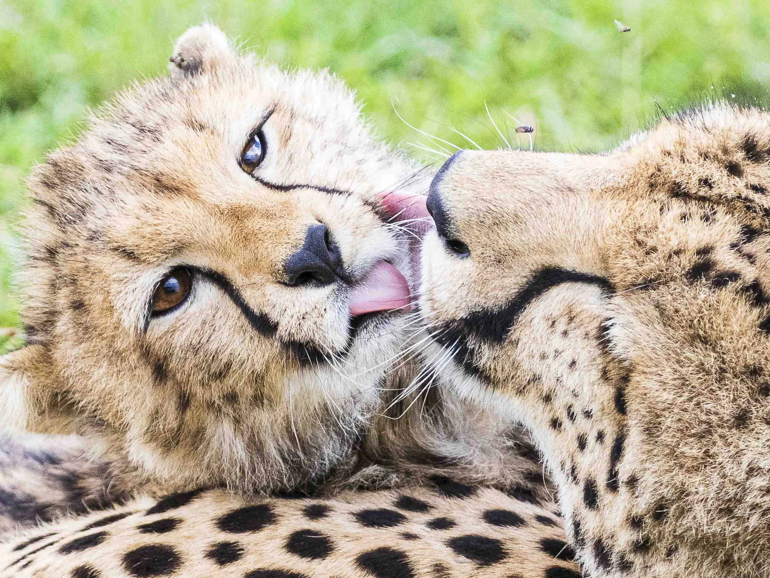 02. Workbook for B2 Language Functions