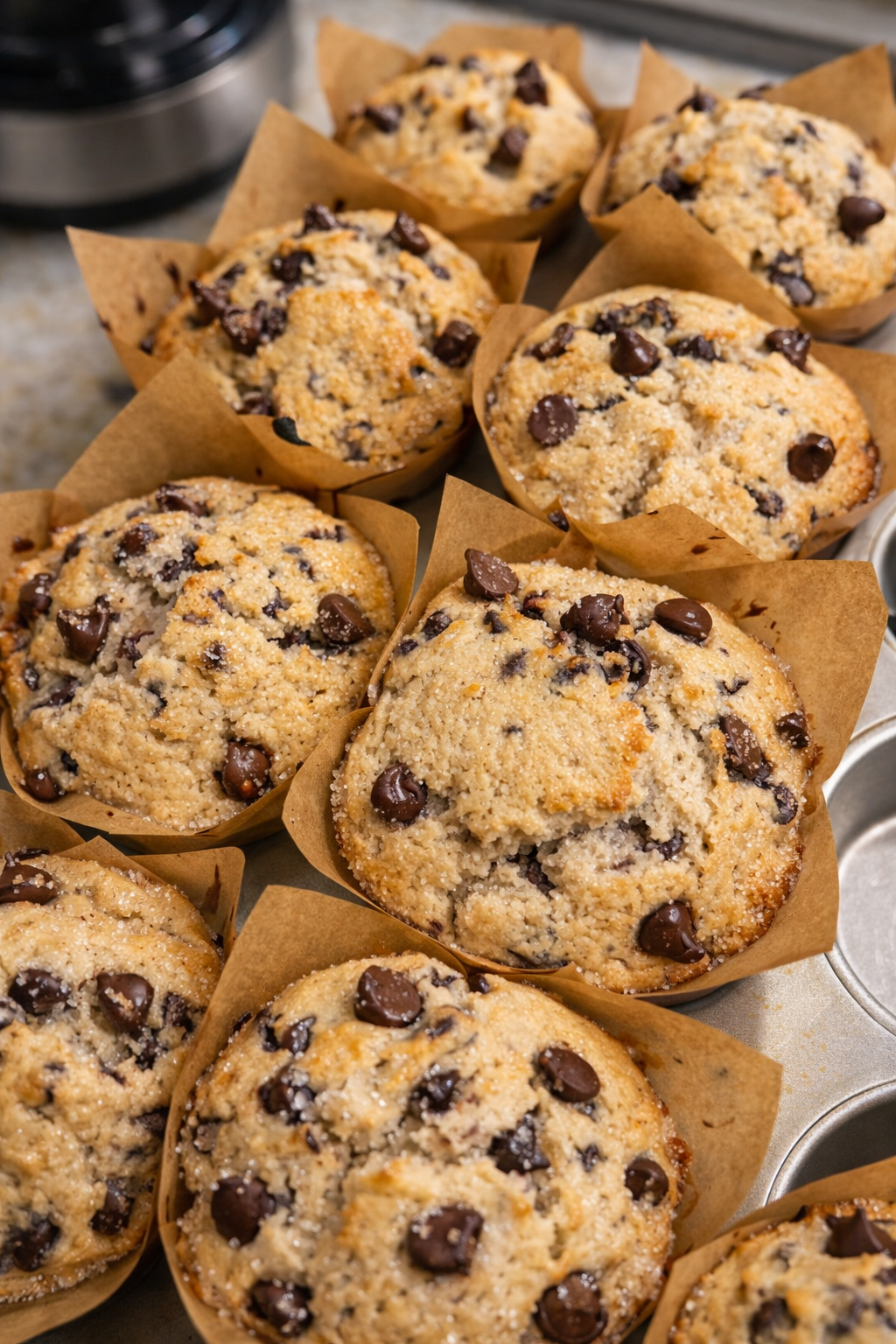 Chocolate Chip Muffins