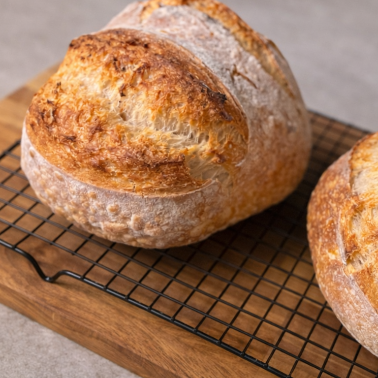 2BB62603-32A2-4C0F-AC09-474927ABE782.png (Copy)