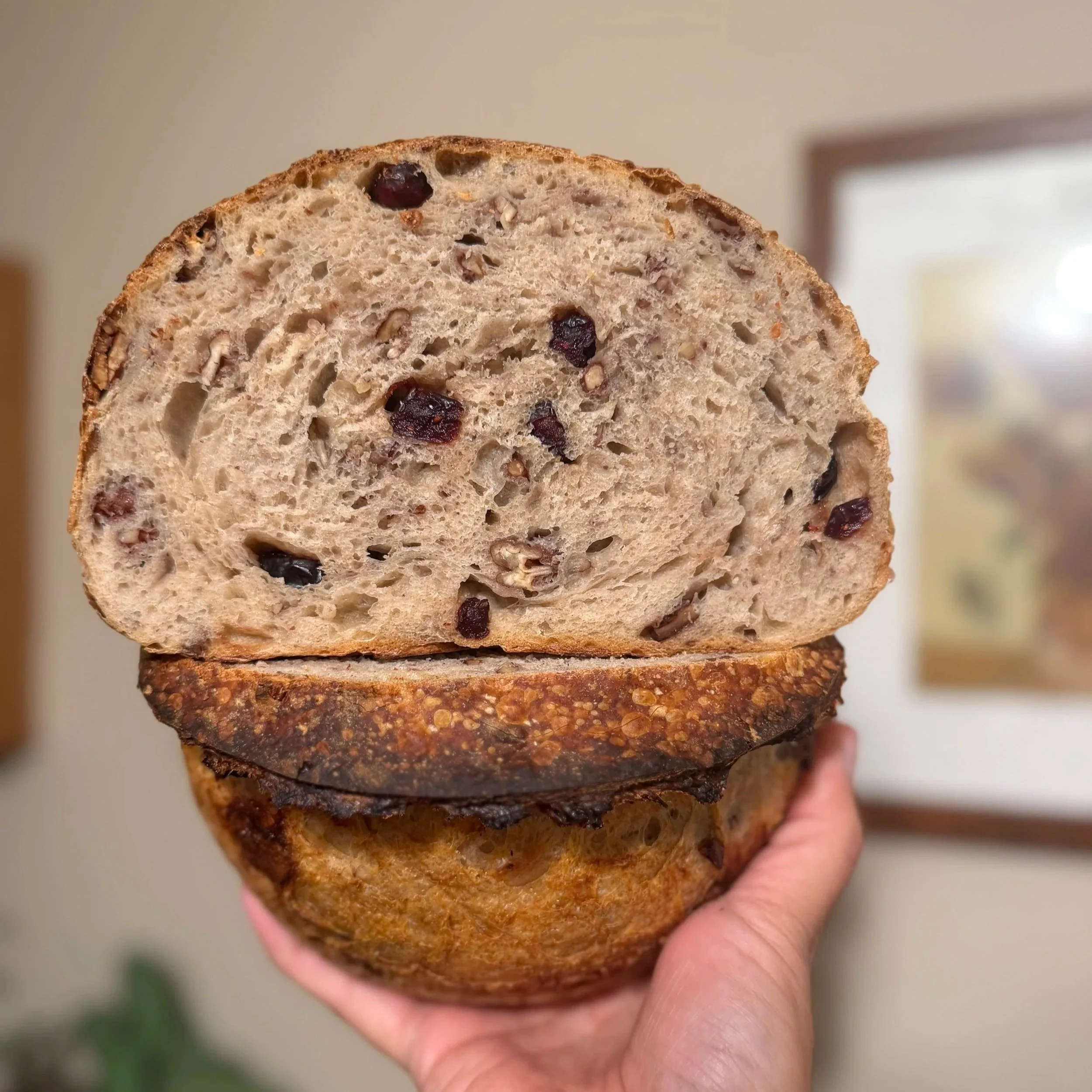 Cranberry & Toasted Pecan Sourdough Loaf - Limited time fall flavor!