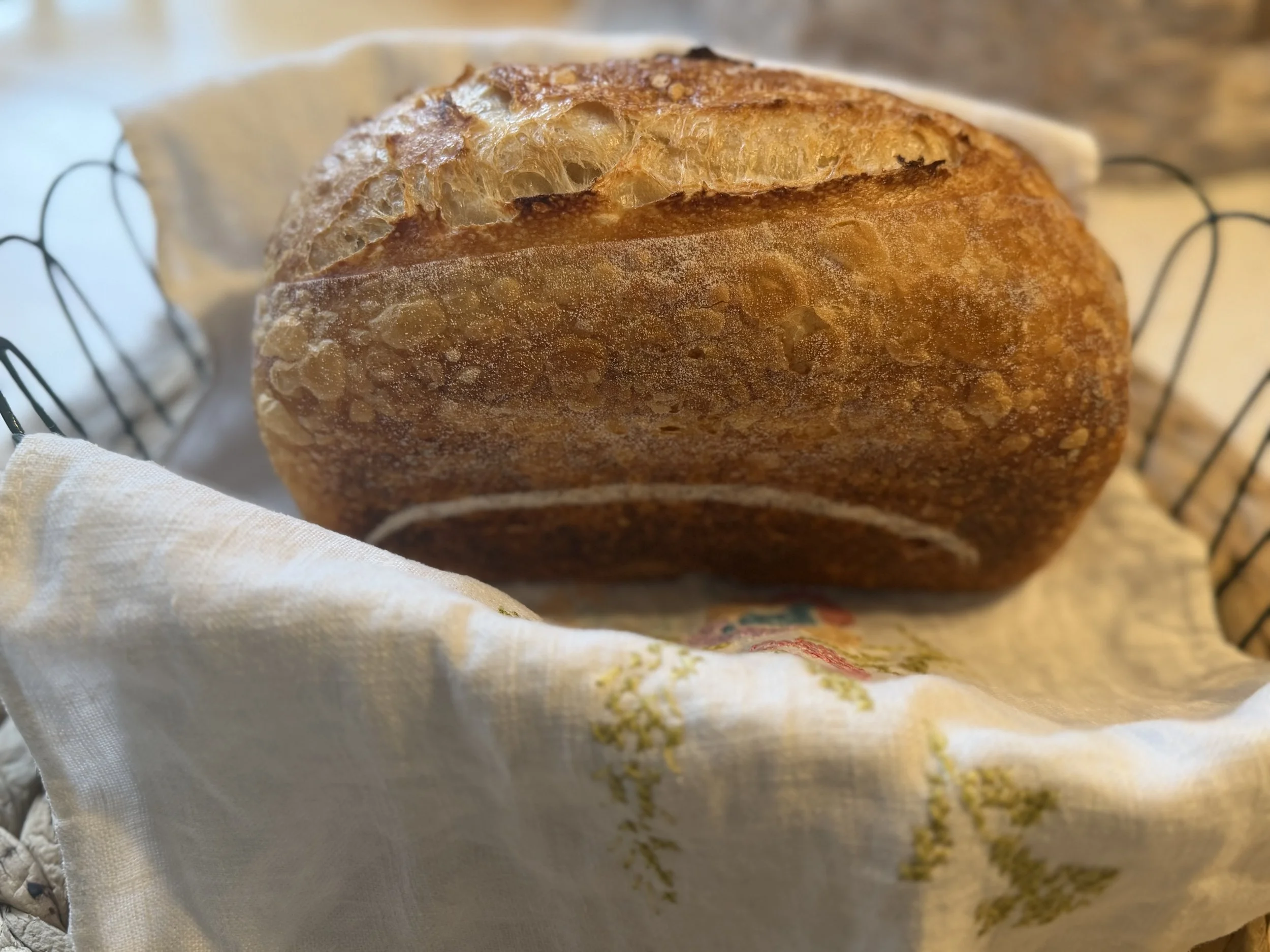 IMG_1276.jpeg (Copy)