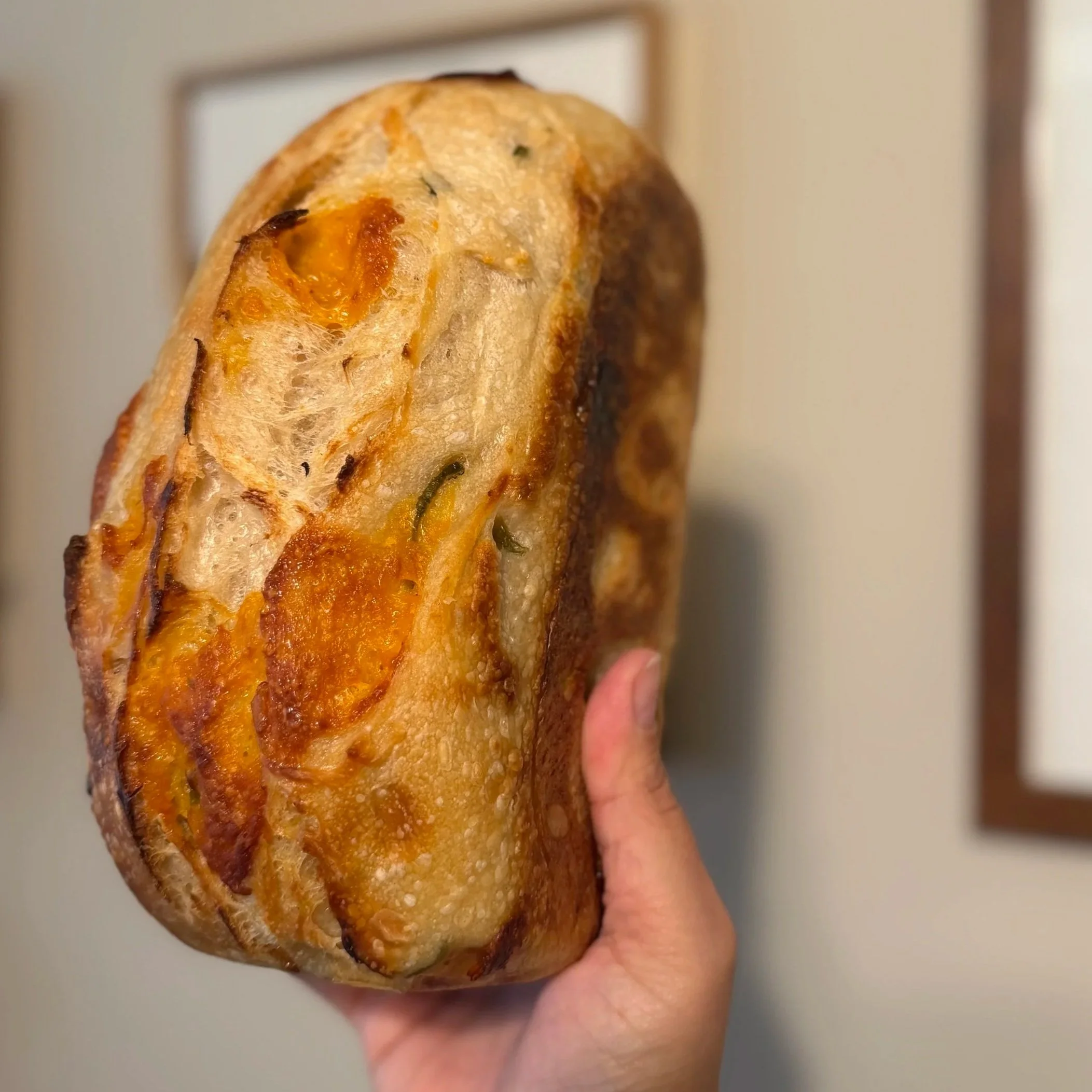 Cheddar & Jalapeño Sourdough Loaf - NEW!