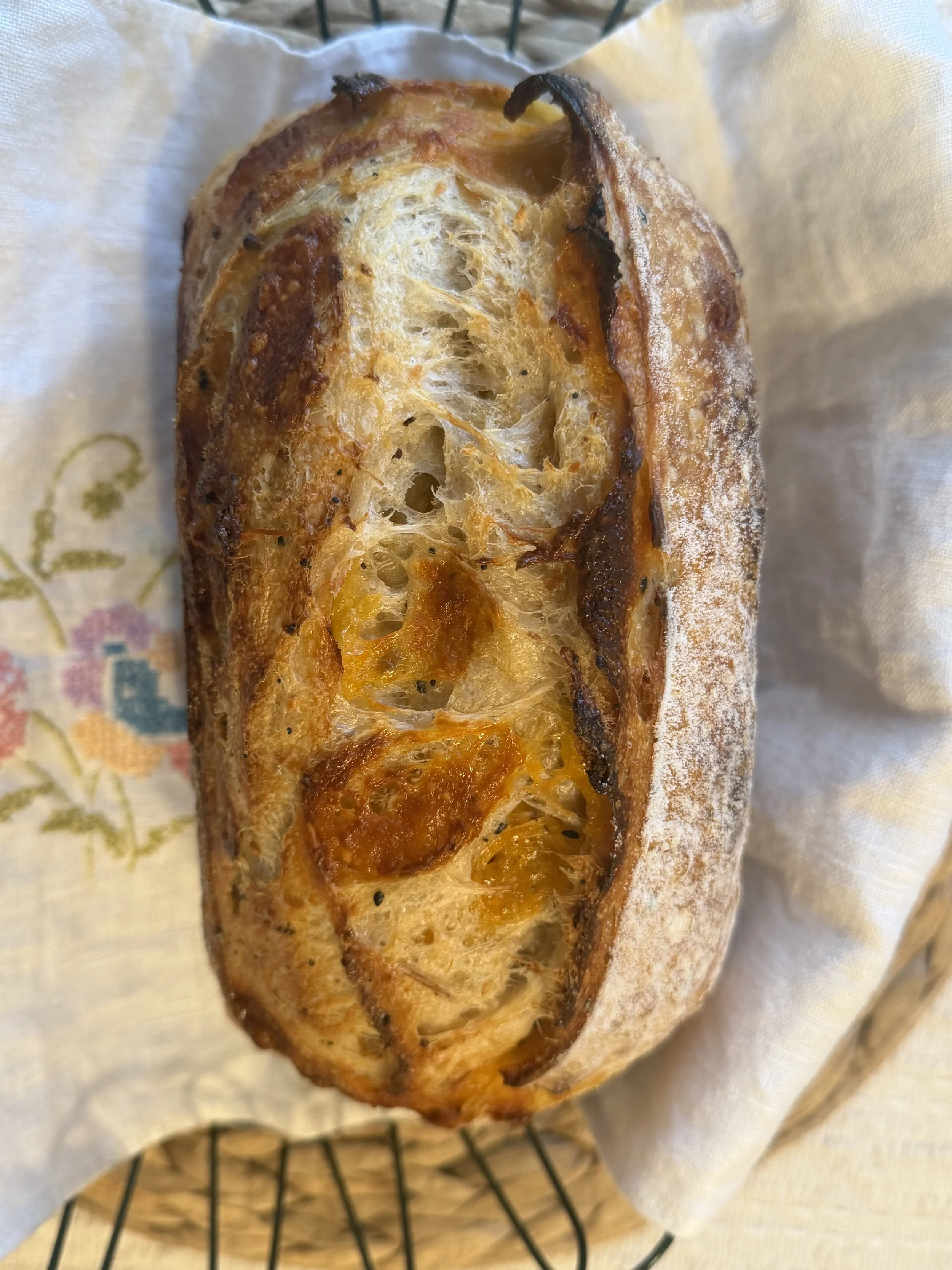 IMG_1279.jpeg (Copy)