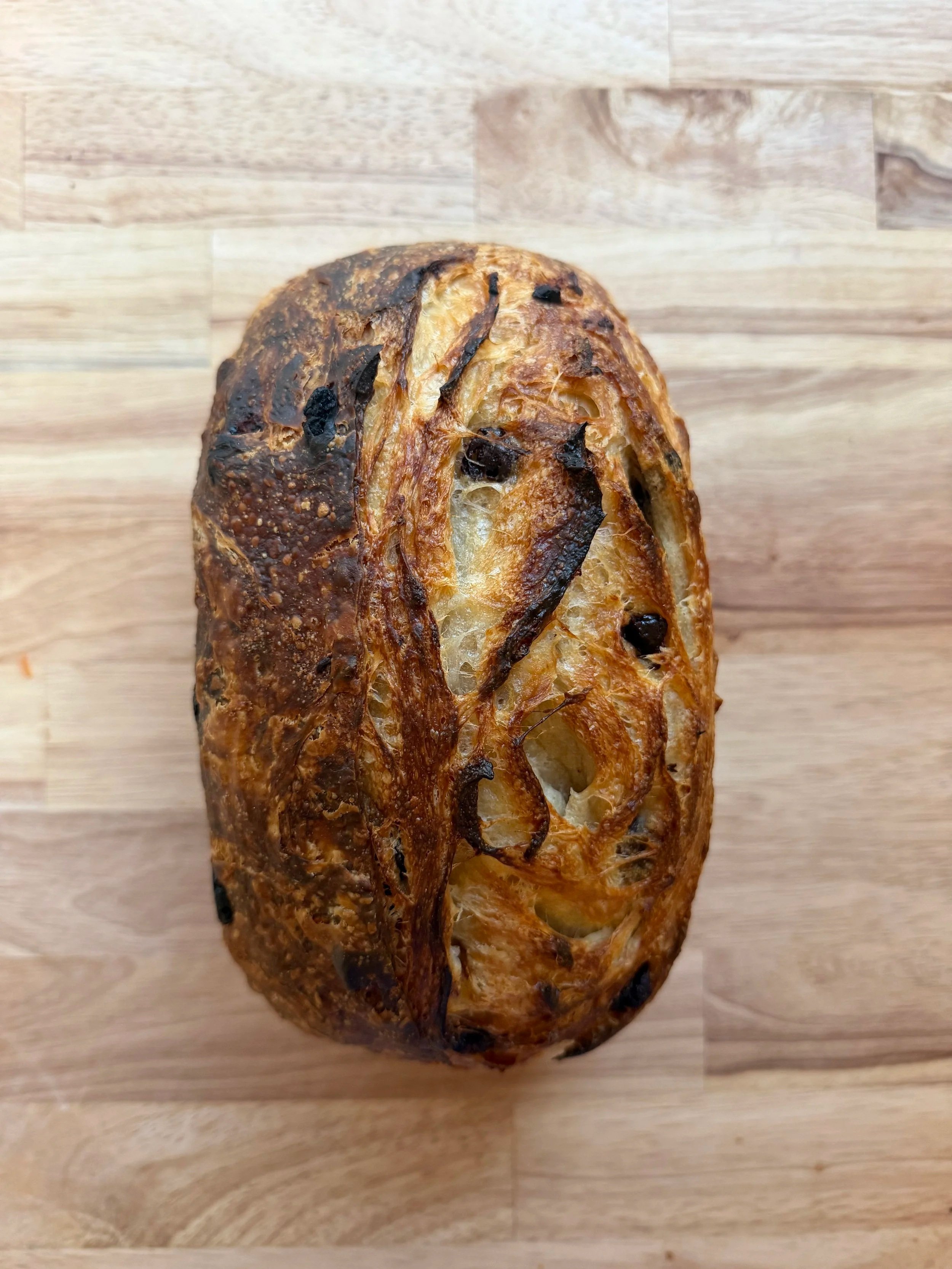IMG_3215.jpg (Copy)