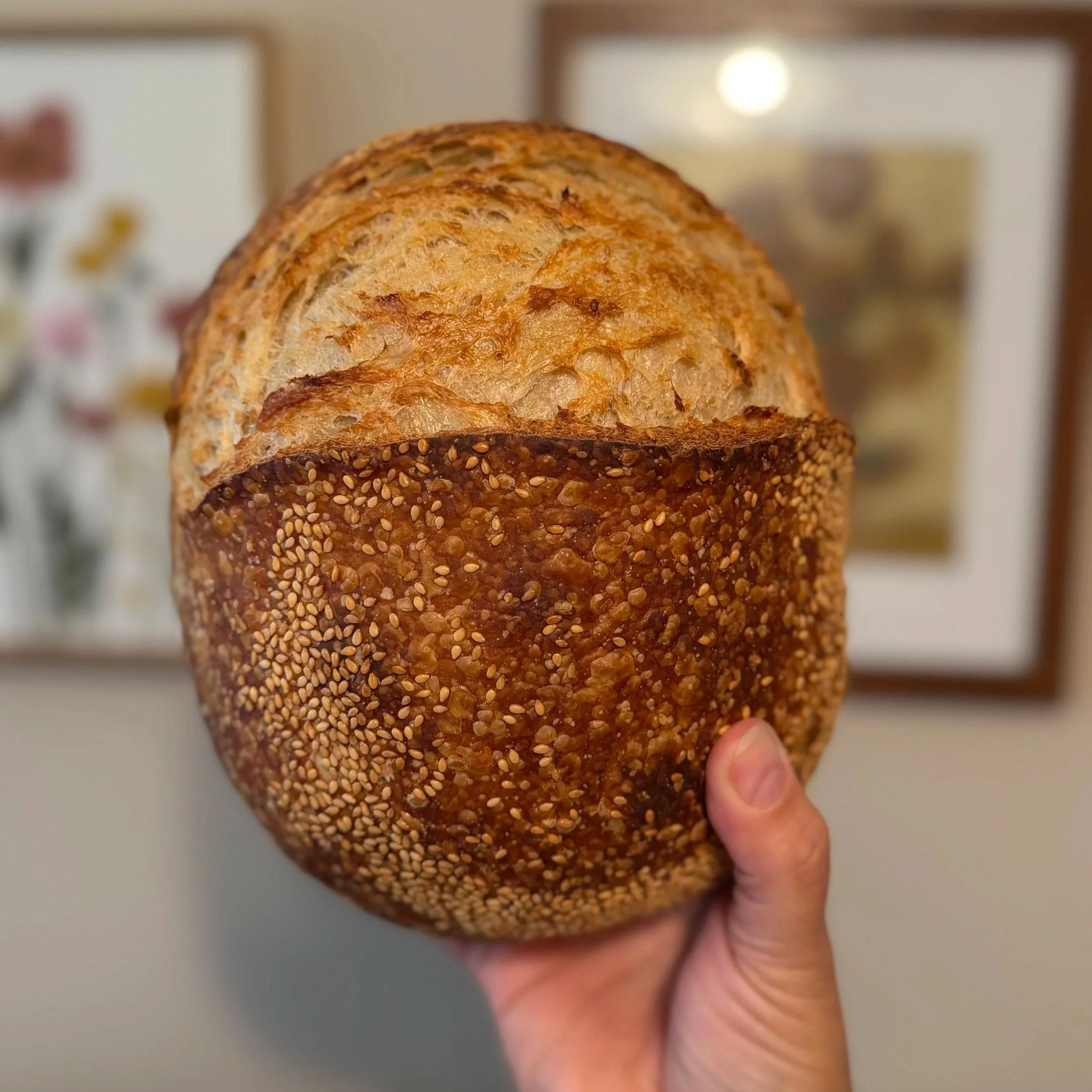 Toasted Sesame Sourdough Round - NEW!