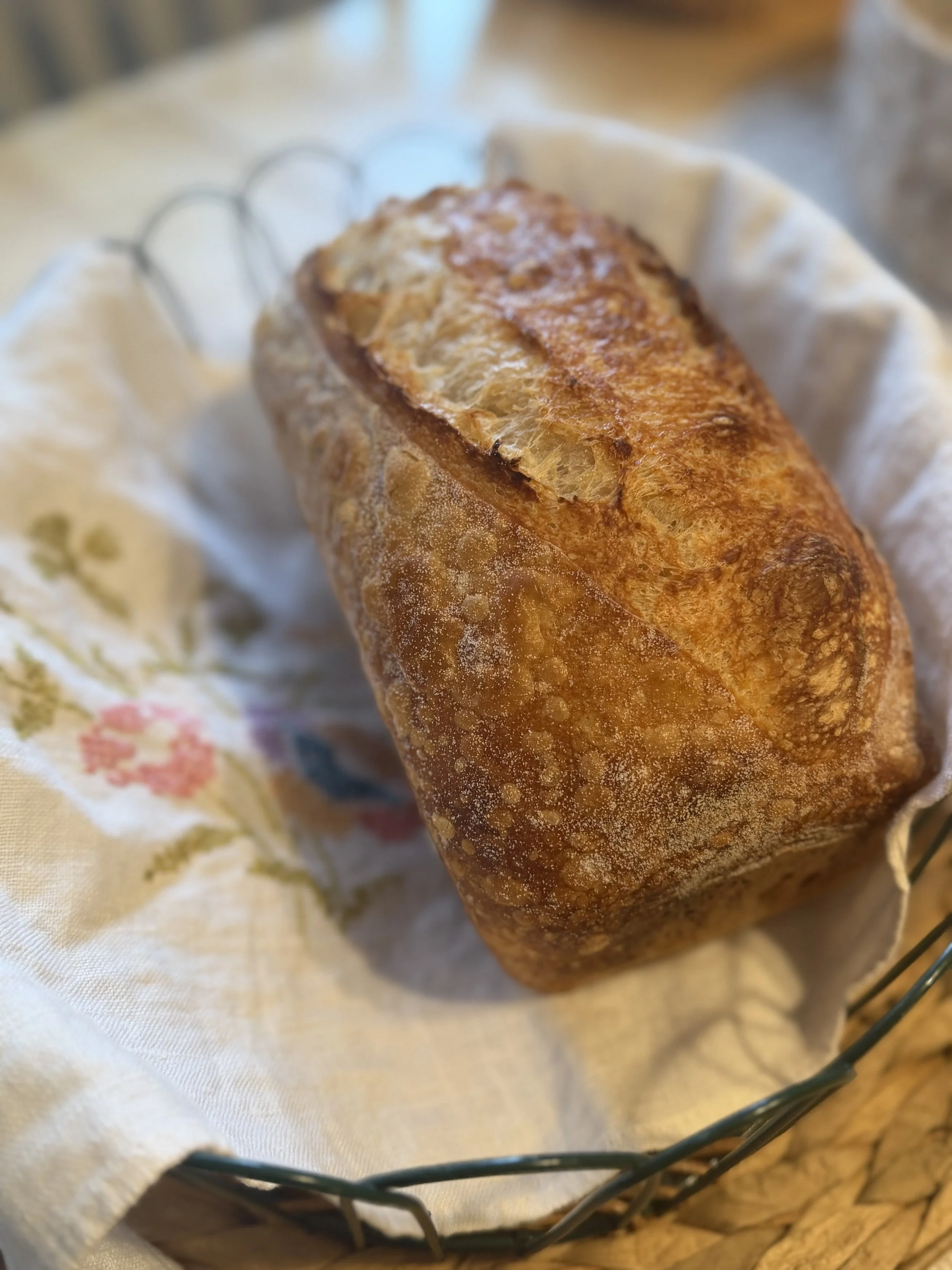 IMG_1277.jpeg (Copy)