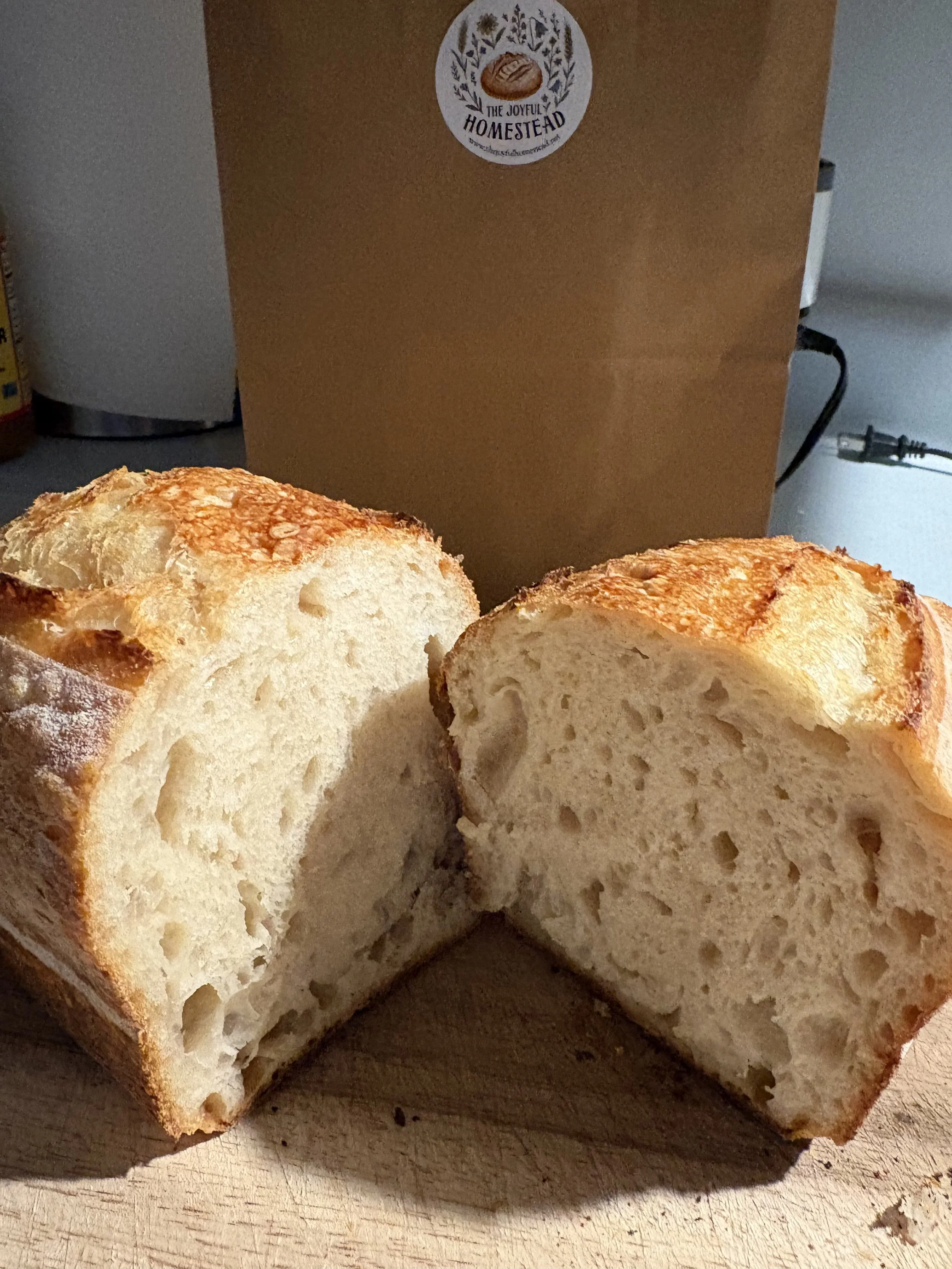 IMG_4462.jpeg (Copy)