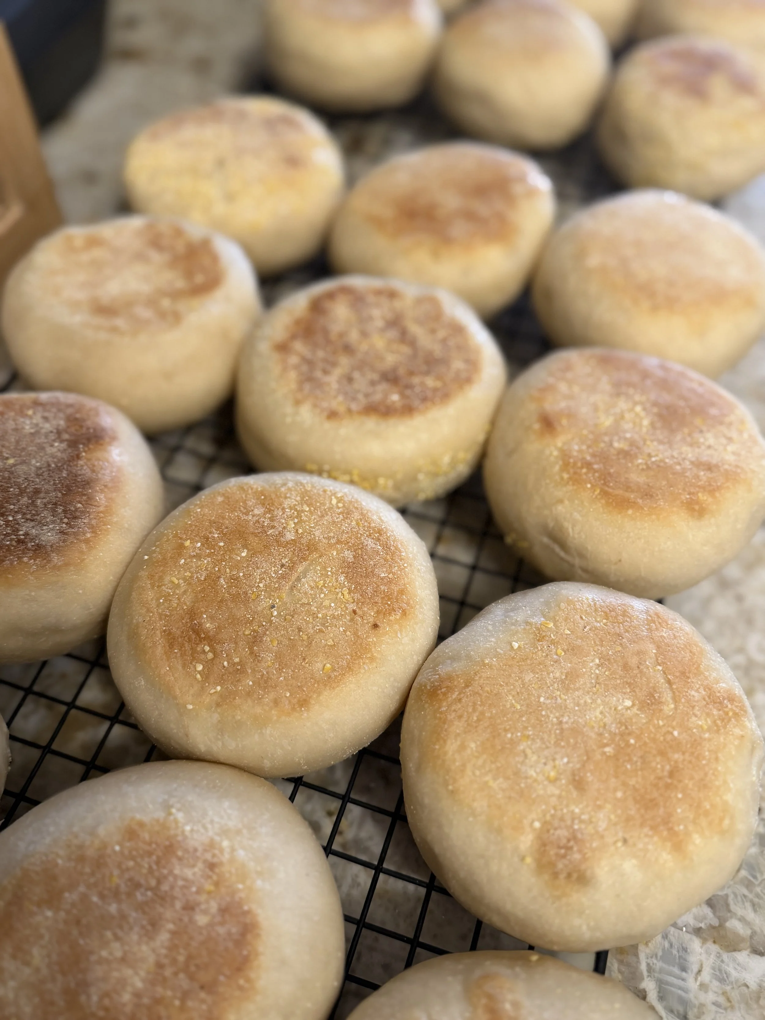 Sourdough English Muffins