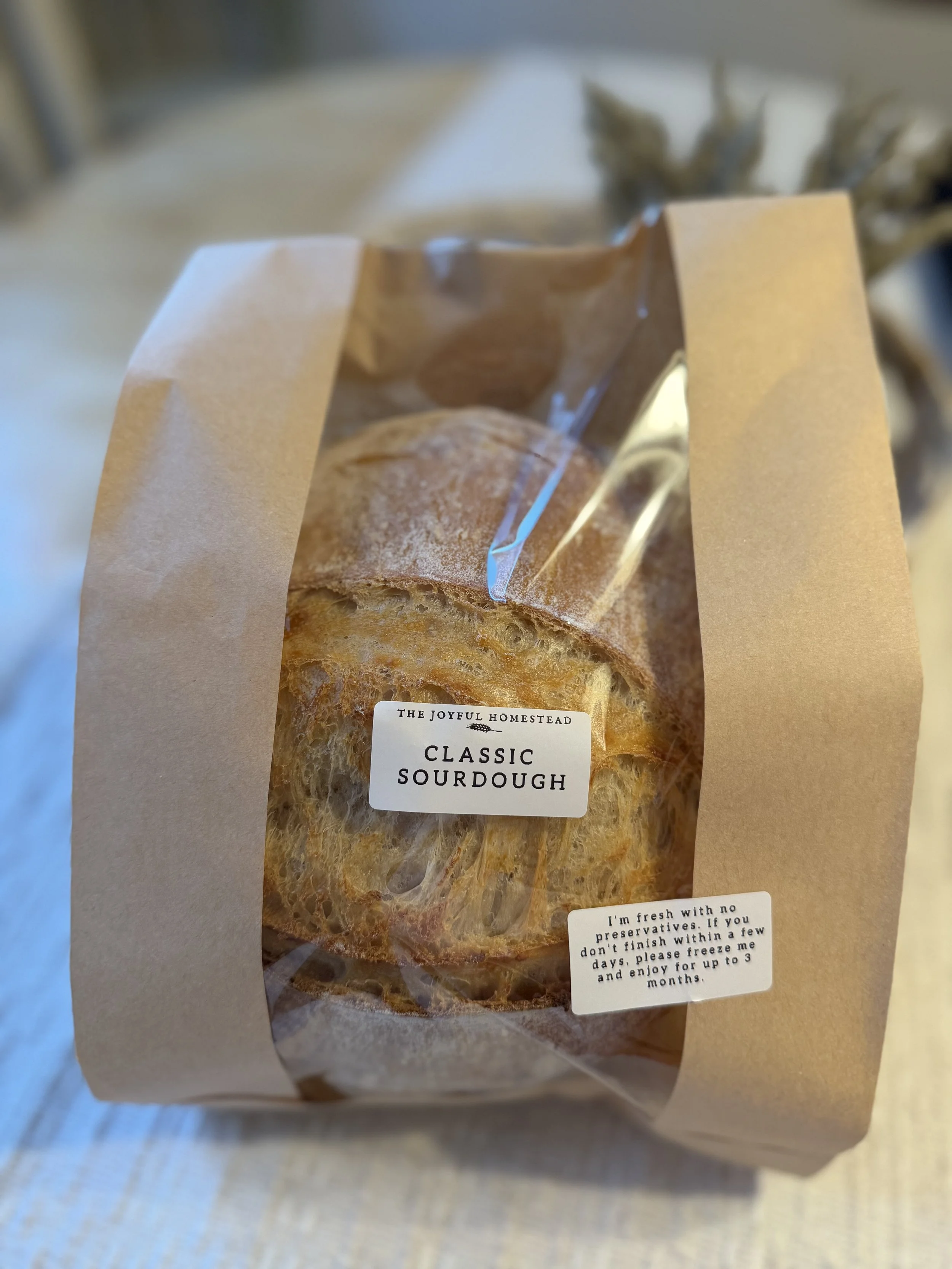 IMG_0476.jpeg (Copy)