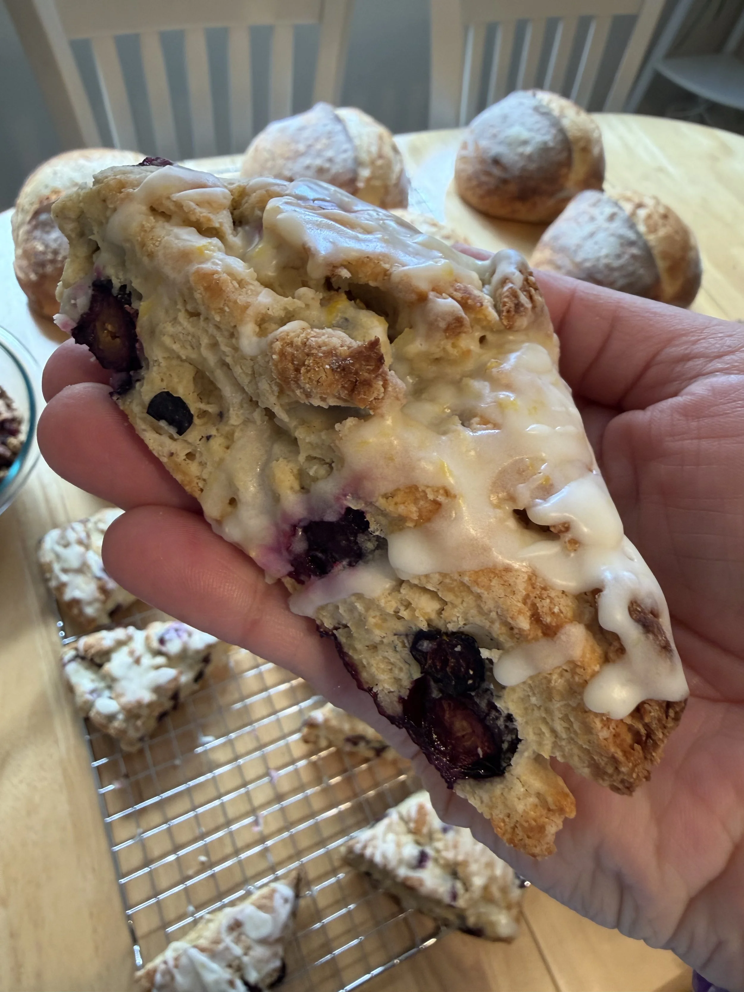 IMG_0576.jpeg (Copy)