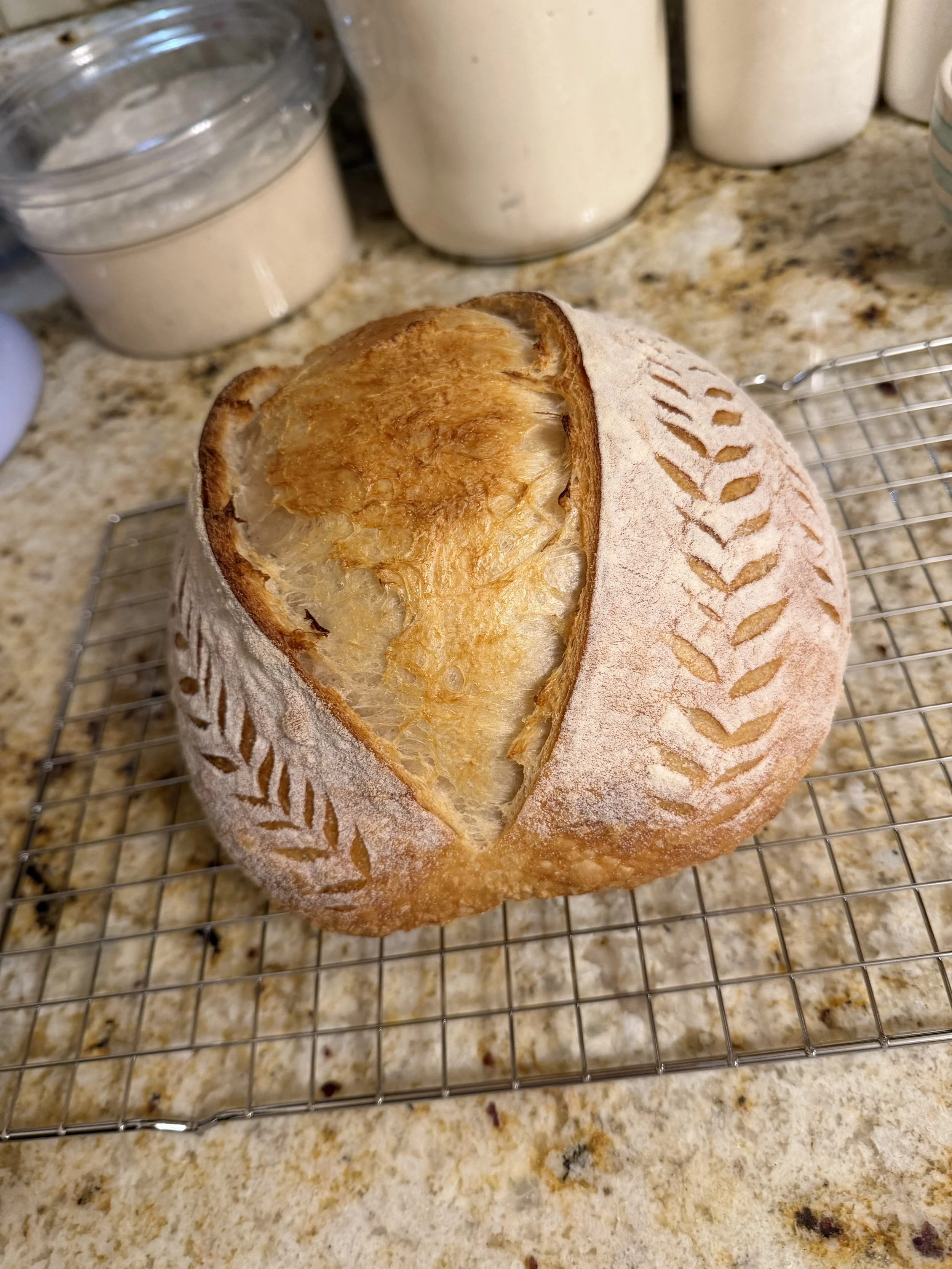 IMG_0670.jpeg (Copy)